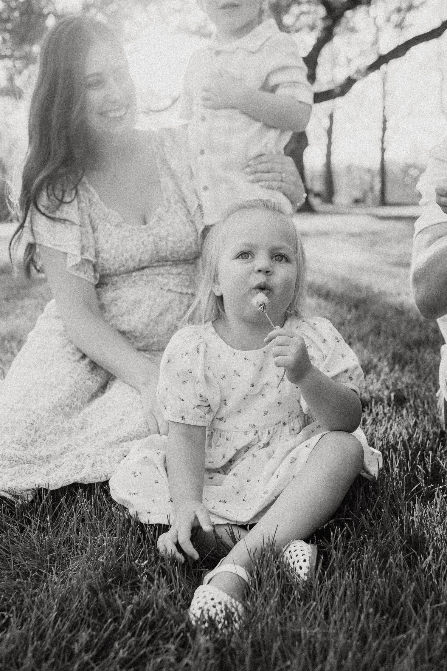 Black and white photo of a toddler girl sitting on grass blowing a dandelion with her smiling pregnant mother behind her.