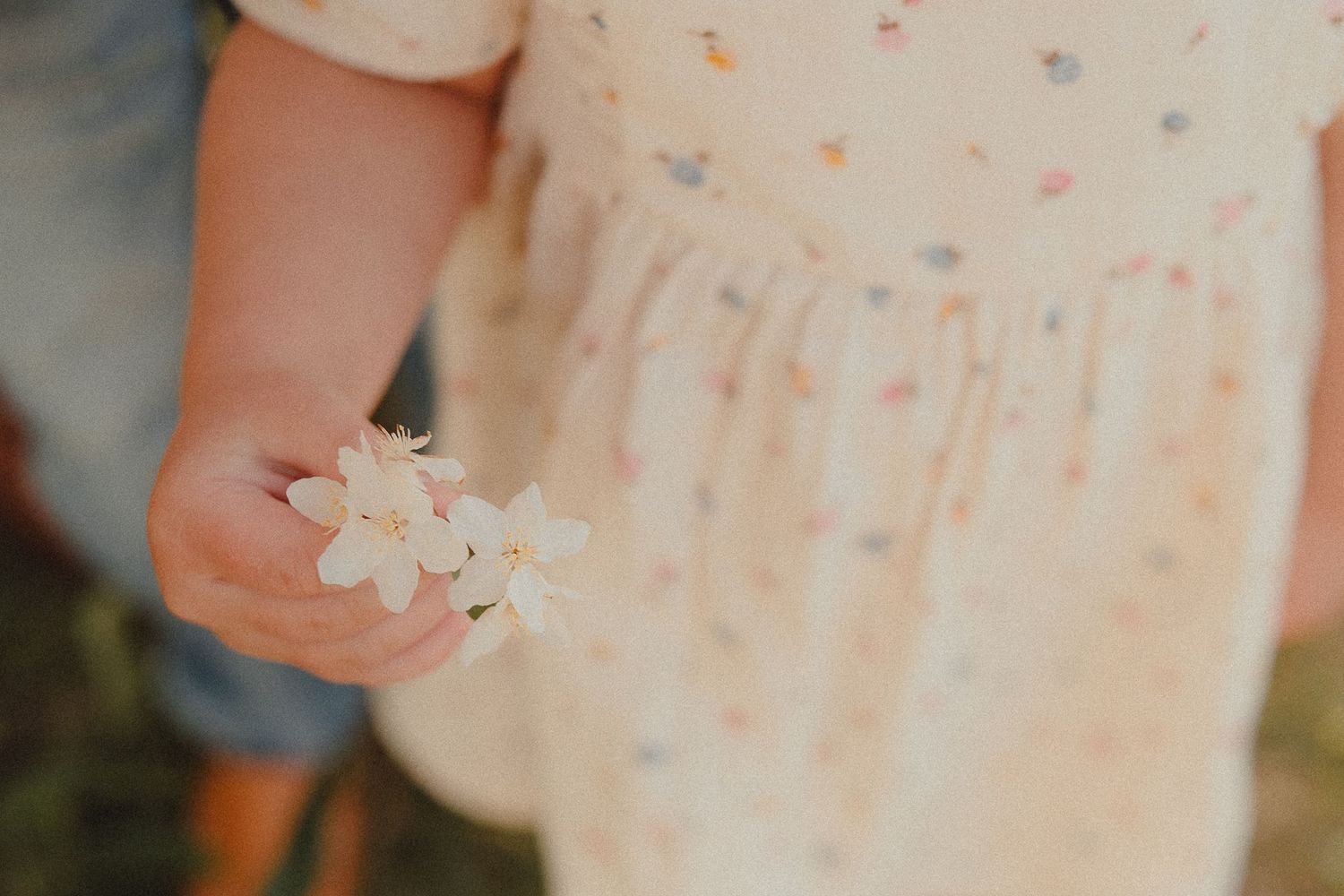 Child in floral dress holding small white flowers outdoors in soft natural light.