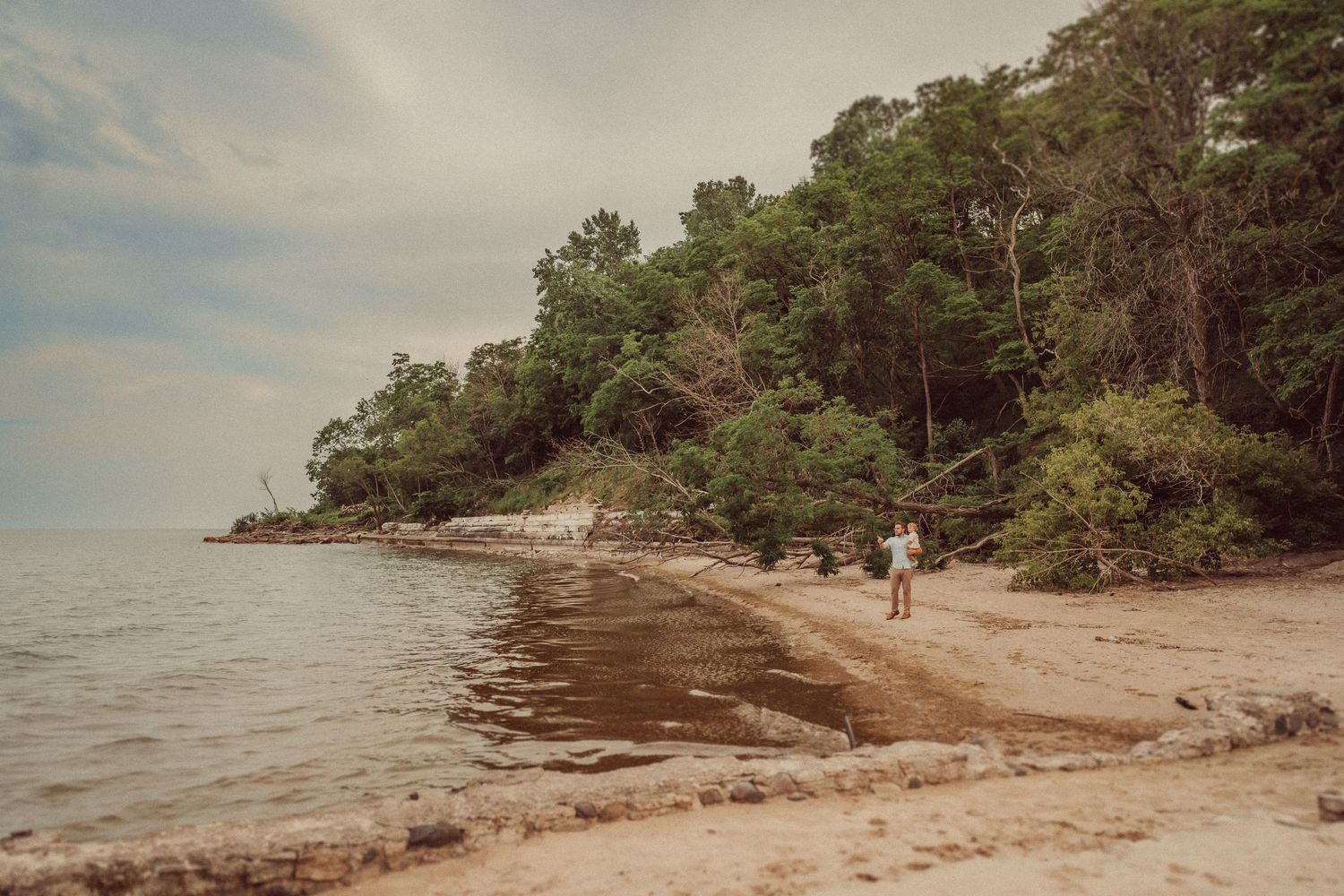 A scenic view of a curved beach shoreline with trees and cliffs in the background.
