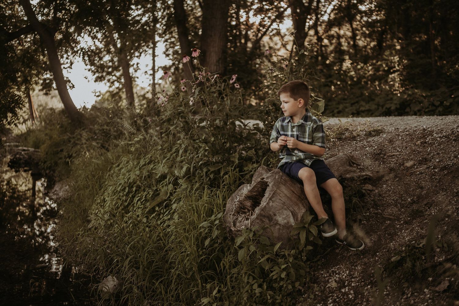 Young child sitting on a rocky outcrop in nature during golden hour.