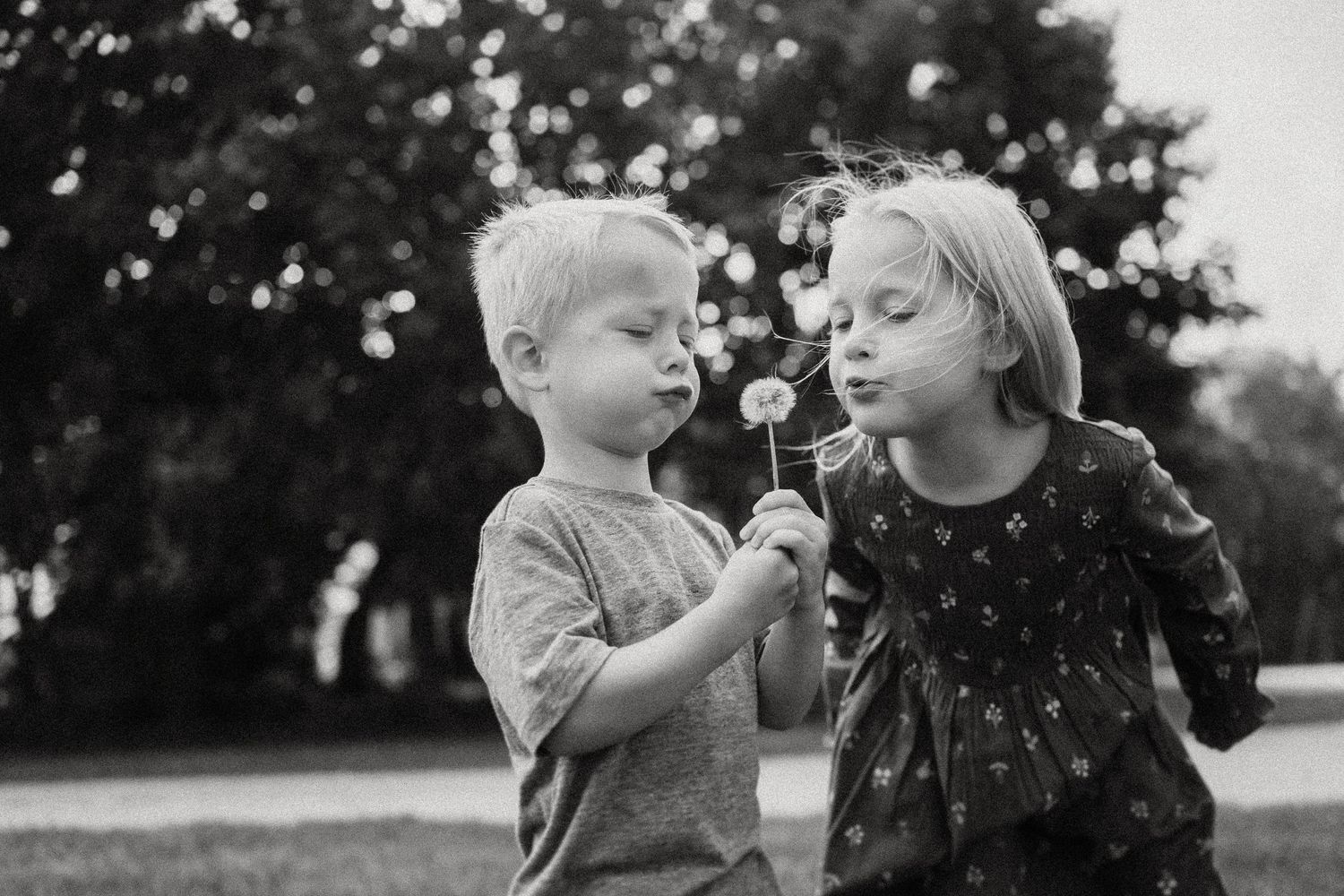 Two children sharing a moment while blowing on a dandelion in black and white.