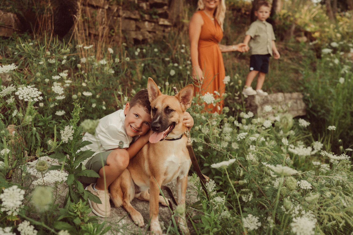 German Shepherd dog and people enjoying time together among blooming white wildflowers.