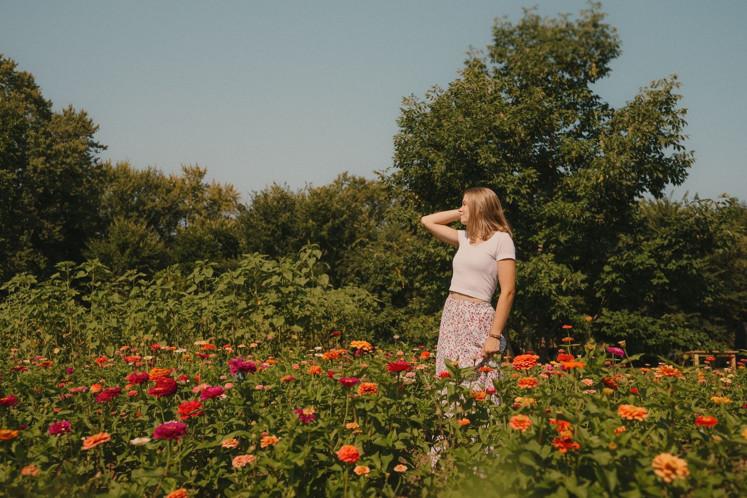 A peaceful moment captured in a summer flower garden filled with colorful blooms against a blue sky.