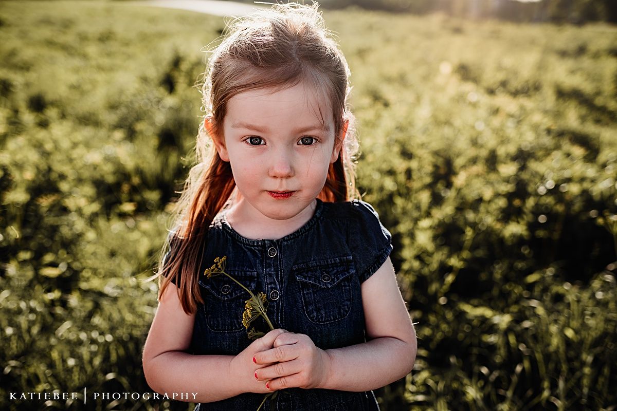 Young child in a navy dress holds a small flower while standing in a sunlit meadow.