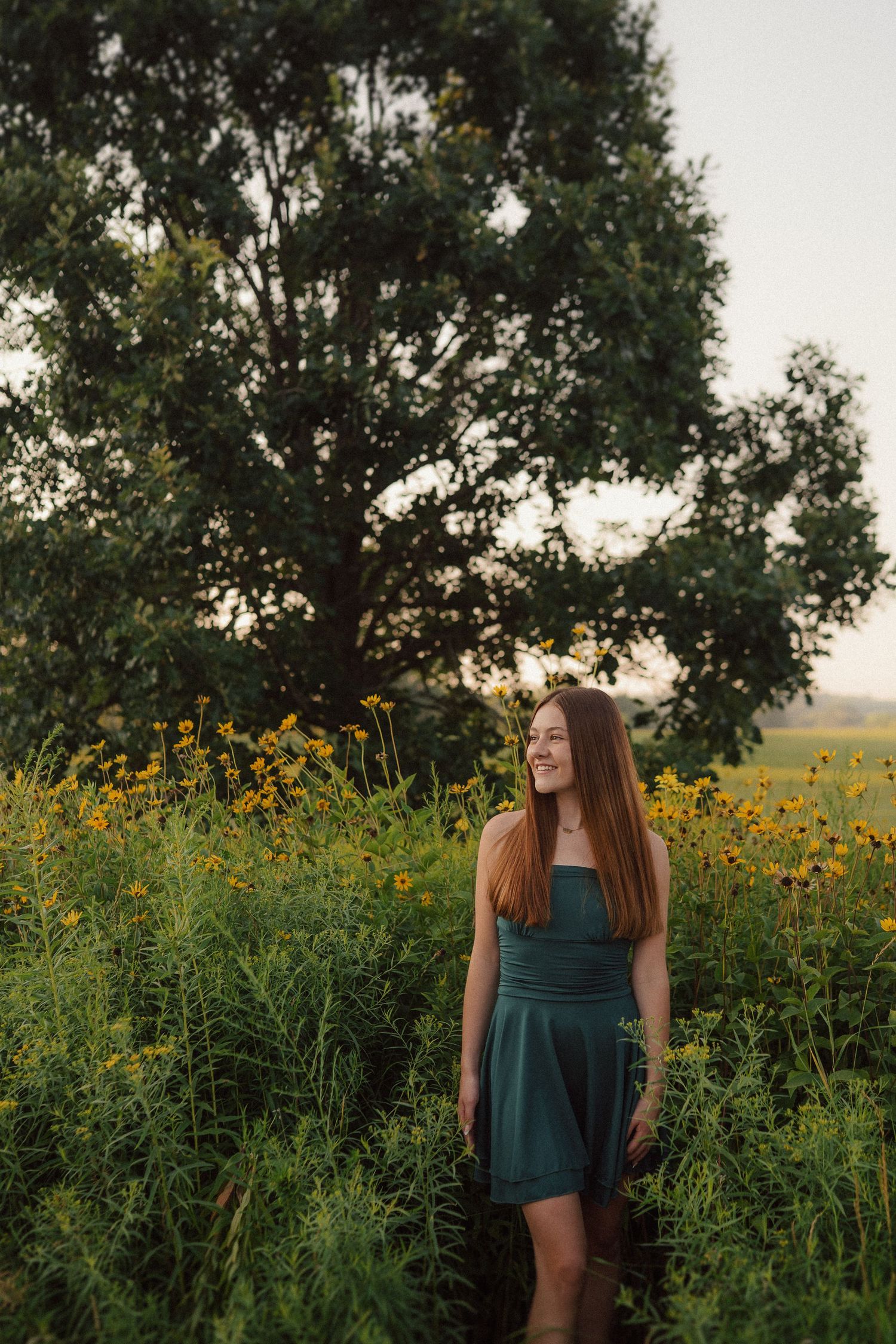 A sequence of sunset portraits in a field of yellow wildflowers and tall trees creating a dreamy summer atmosphere.
