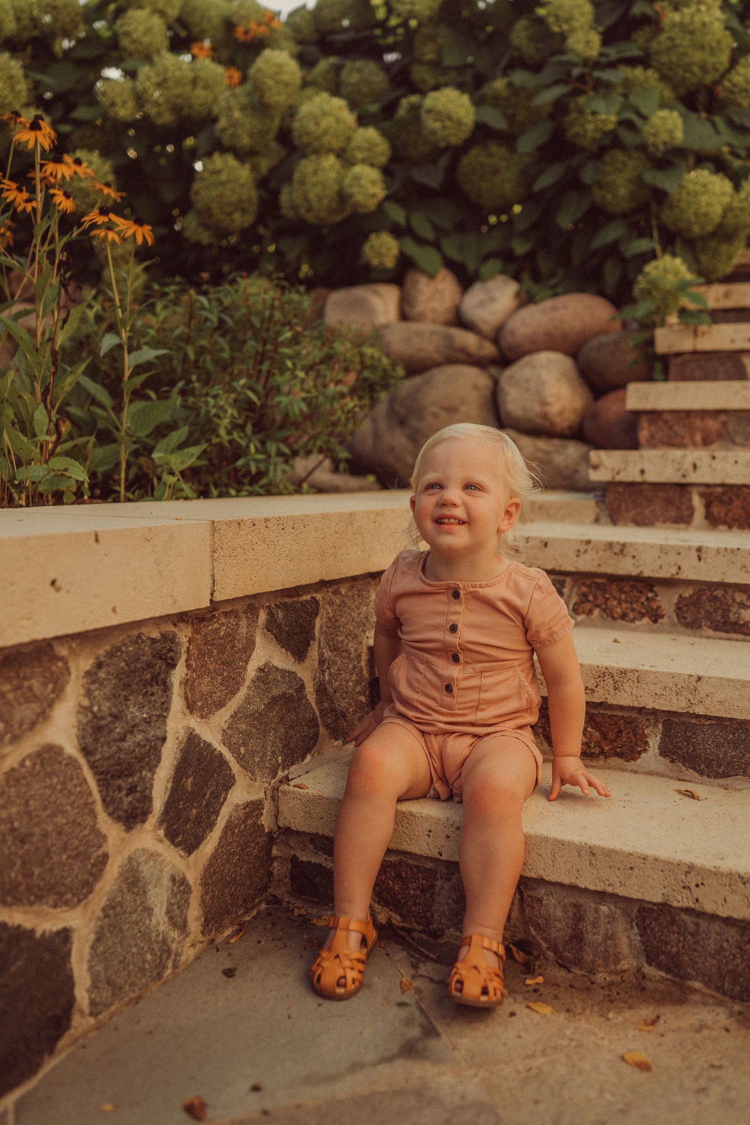 Warm sunset garden photo on stone steps with hydrangeas and natural rock wall features.