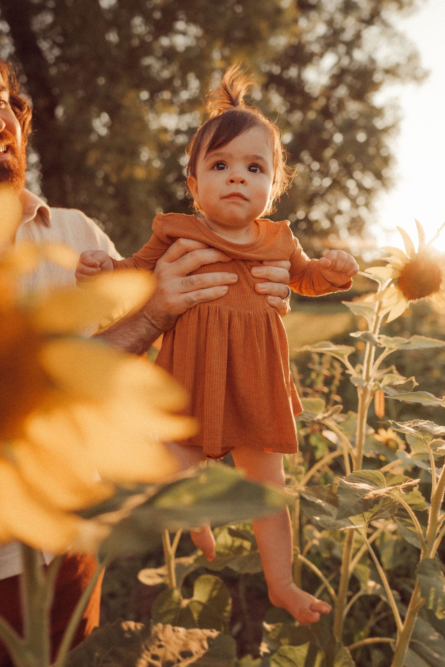 A child in an orange dress stands among blooming sunflowers at sunset.