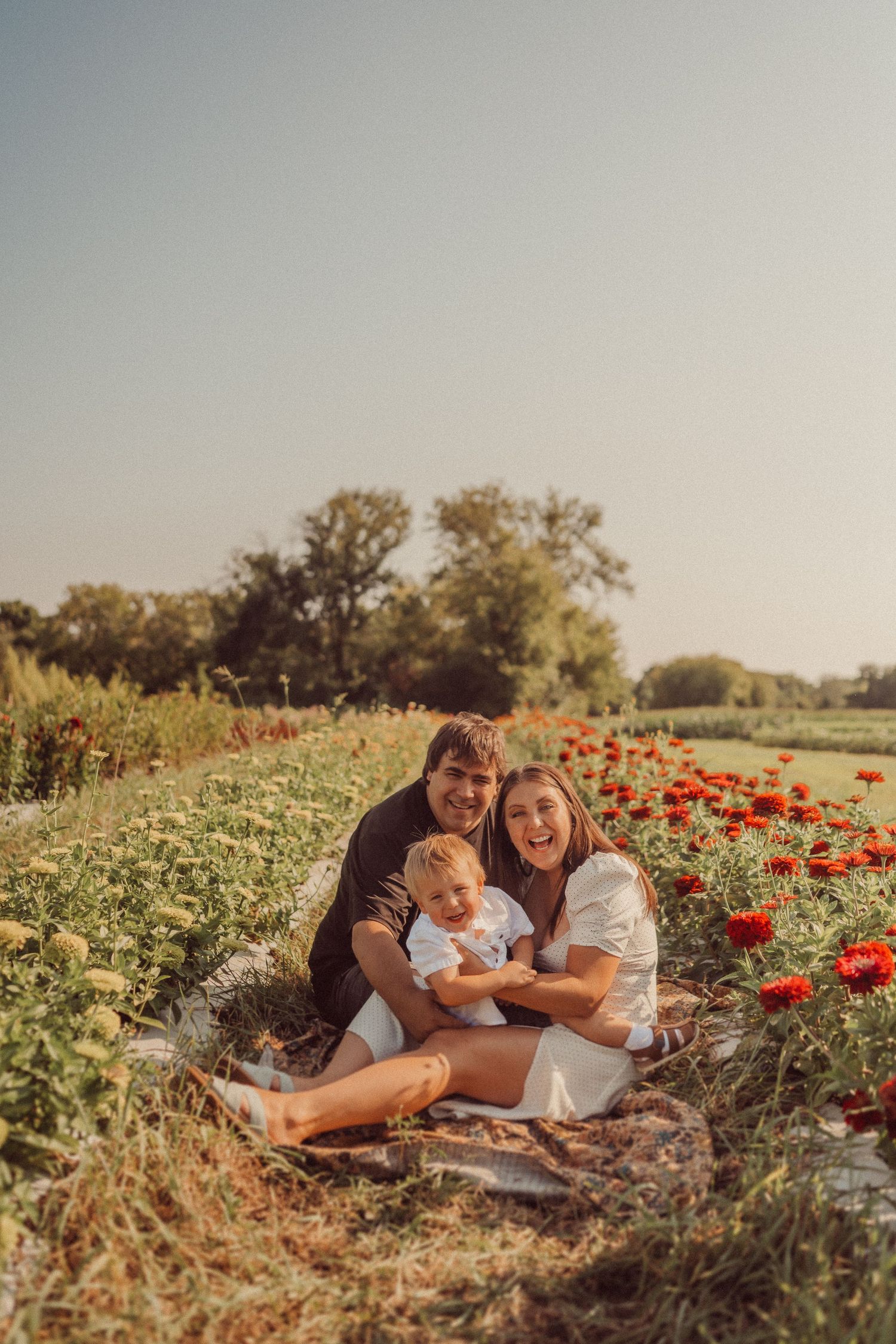 A joyful family moment captured in a field of red poppies during sunset.