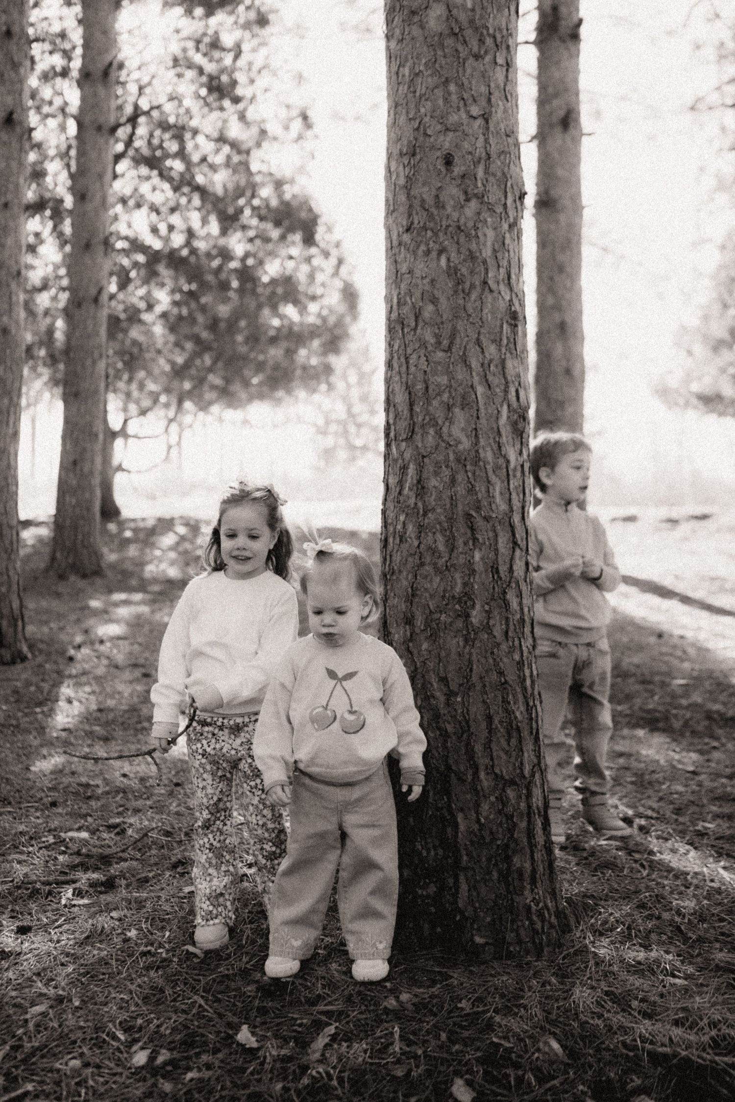 Two children playing and walking among tall pine trees in a black and white photo sequence.
