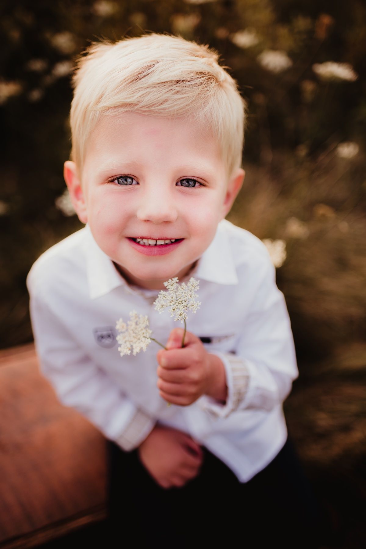 Smiling young child in white dress shirt holding small white wildflowers in golden natural light.