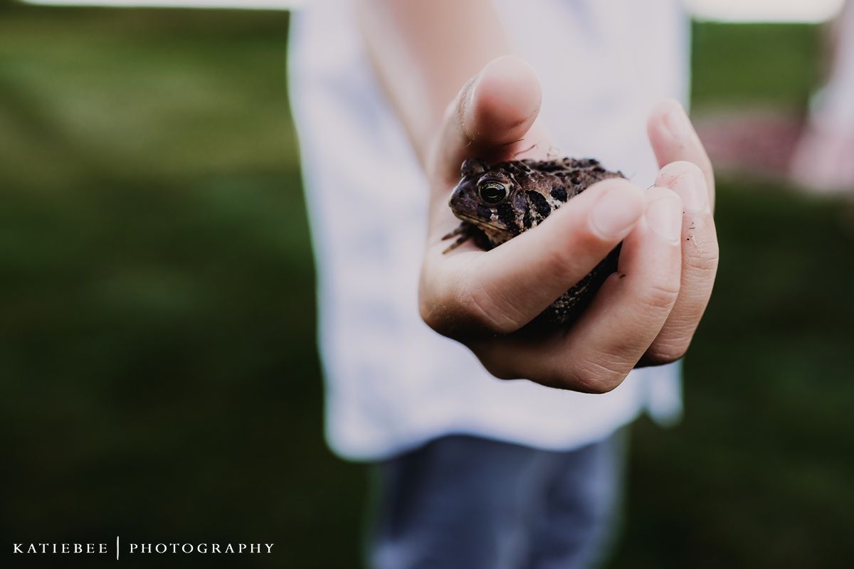 Close-up shot of hands holding a small object against a grassy background.