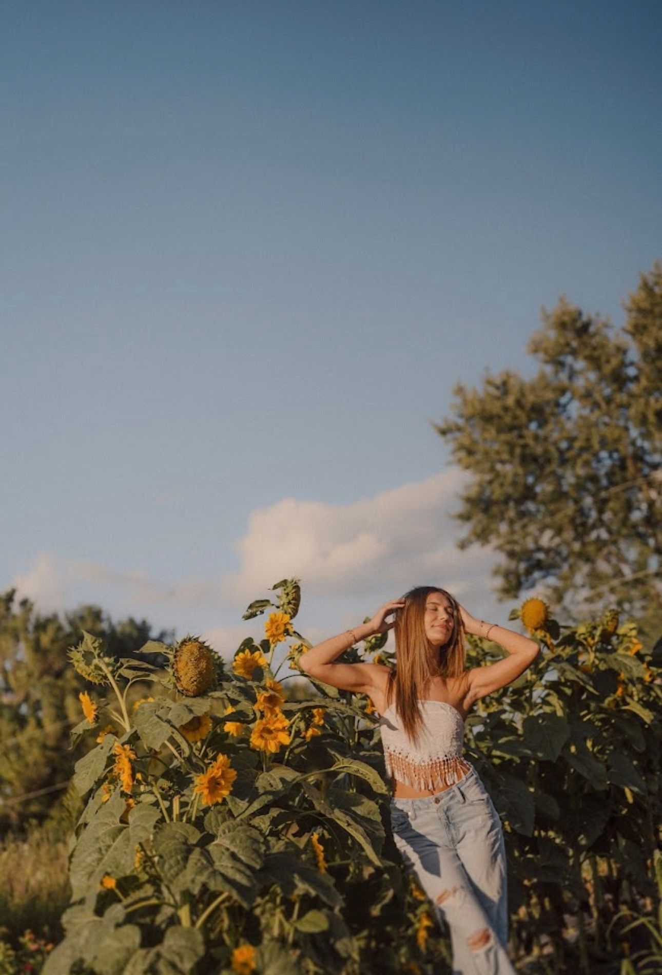 A dreamy golden hour photoshoot in a blooming sunflower field with warm summer light.