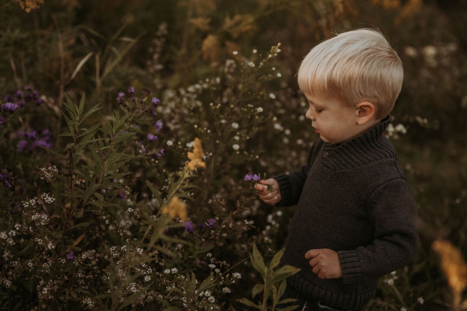 A curious explorer in a dark sweater examines wildflowers in a natural setting.