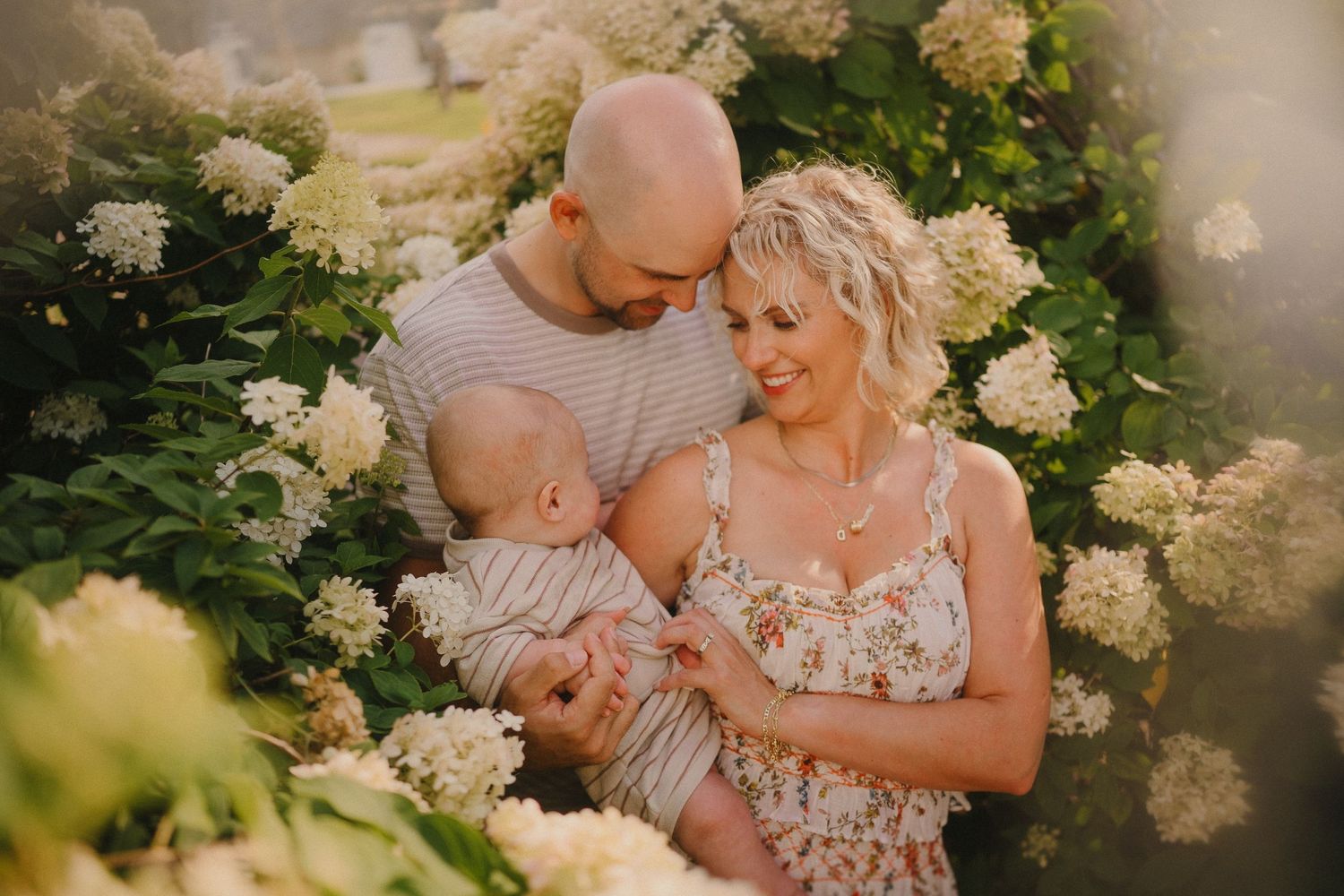 A couple shares an intimate moment together among blooming white hydrangea bushes in warm sunset lighting.