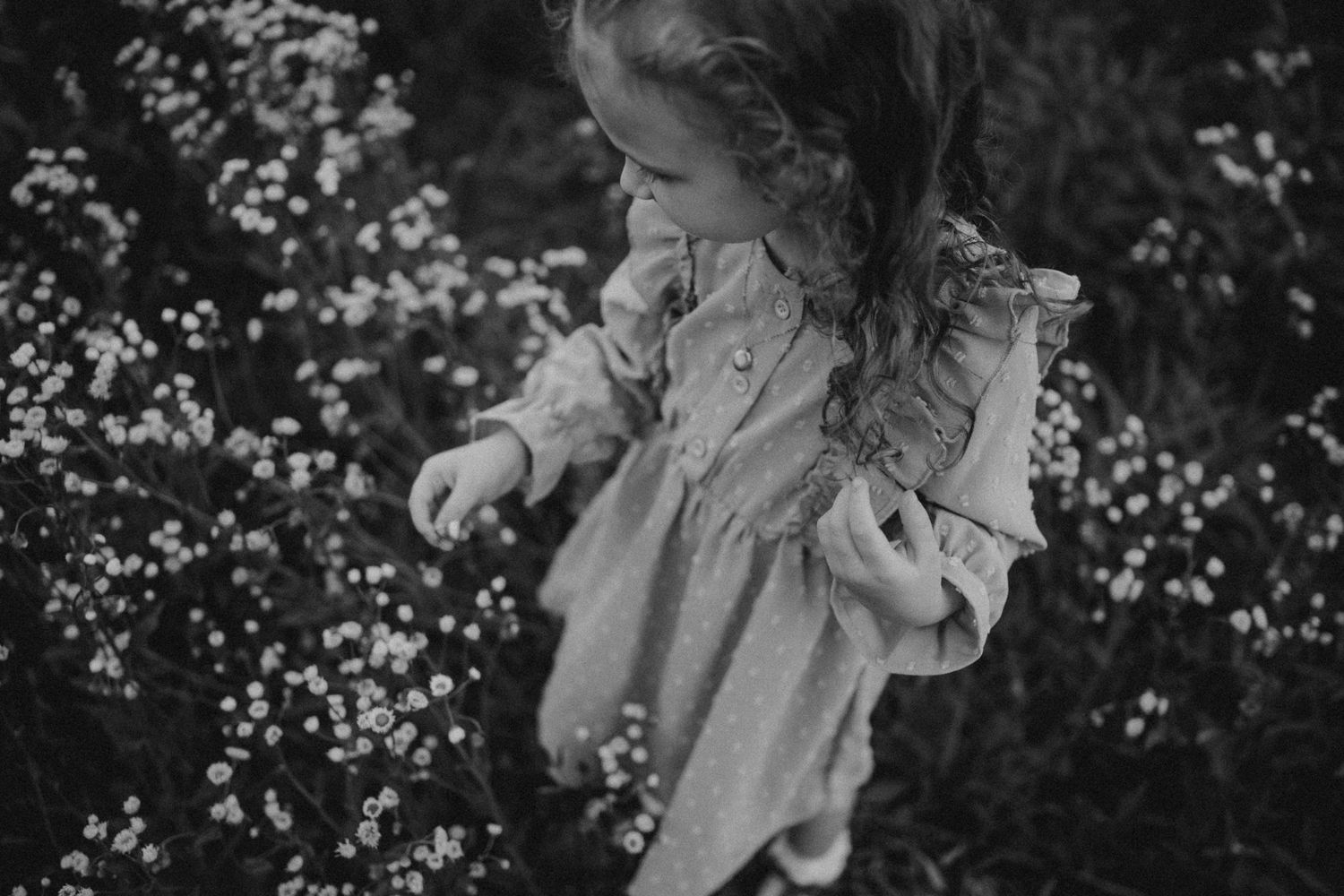 Black and white portrait of child exploring delicate wildflowers in a field.