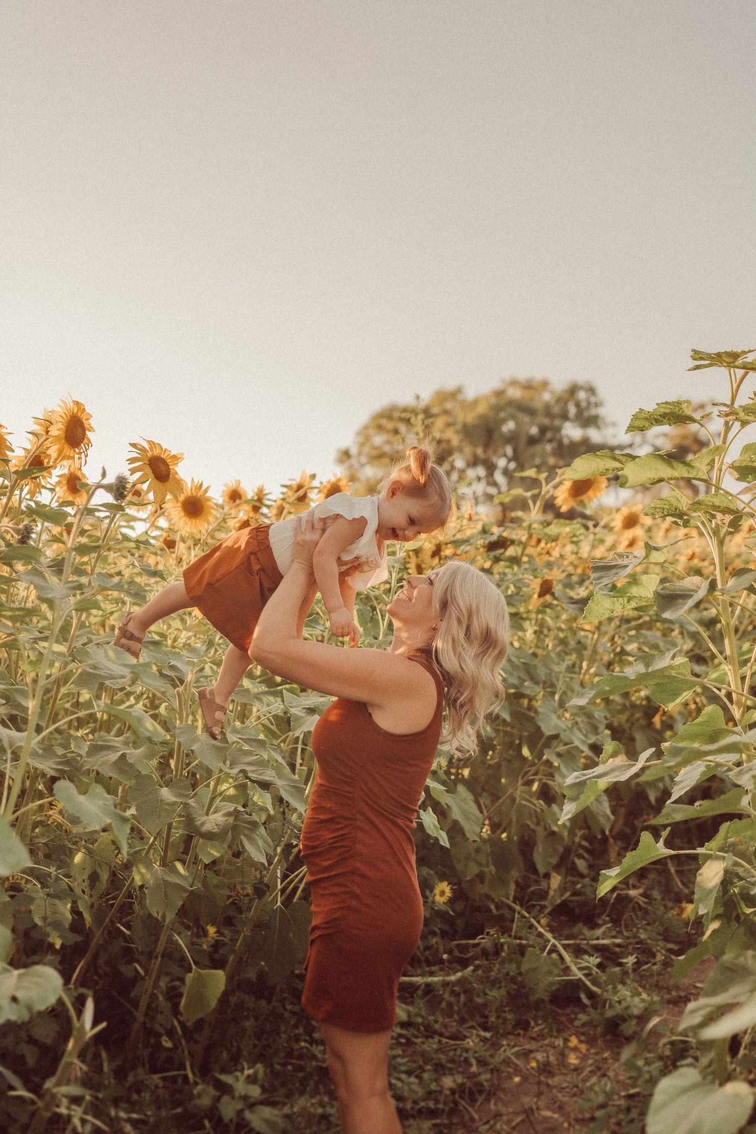 Golden sunlight illuminates a touching moment in a field of tall sunflowers.