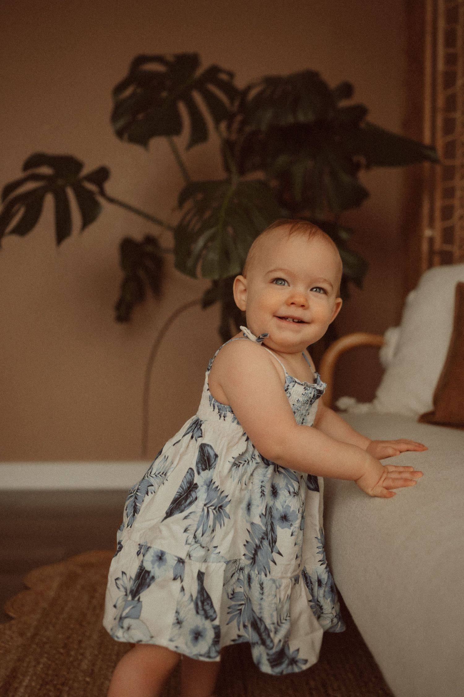 A toddler in a blue floral dress stands by a potted monstera plant in a living room.