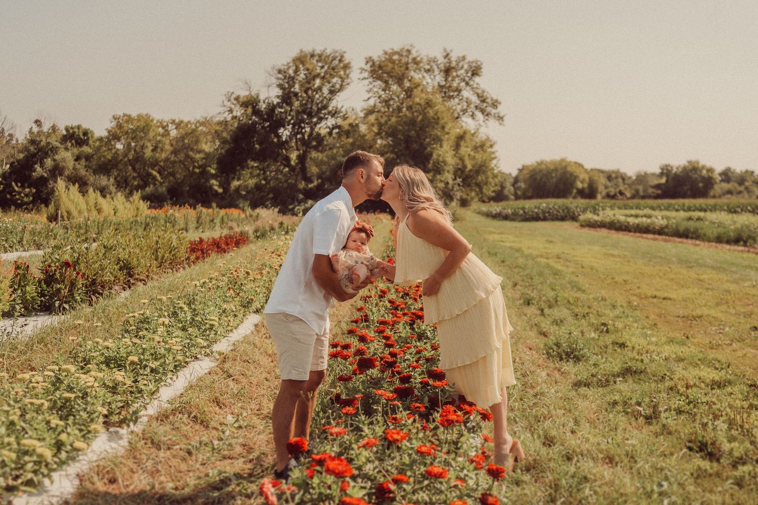 A family enjoying a tender moment together in a field of red wildflowers.