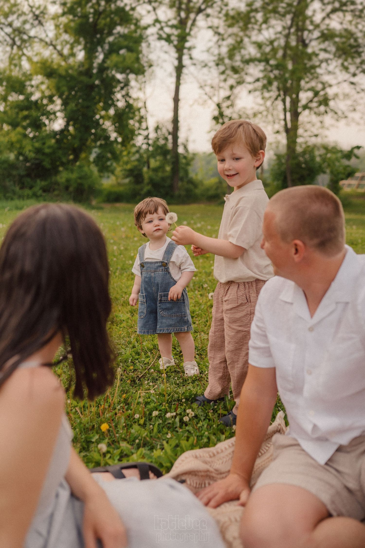 Family picnic scene in a spring meadow with wildflowers and natural lighting.