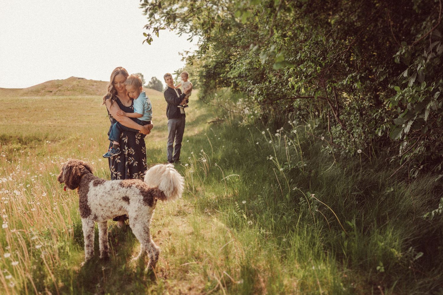 A family and their brown and white dog enjoy a sunny afternoon in a grassy field.