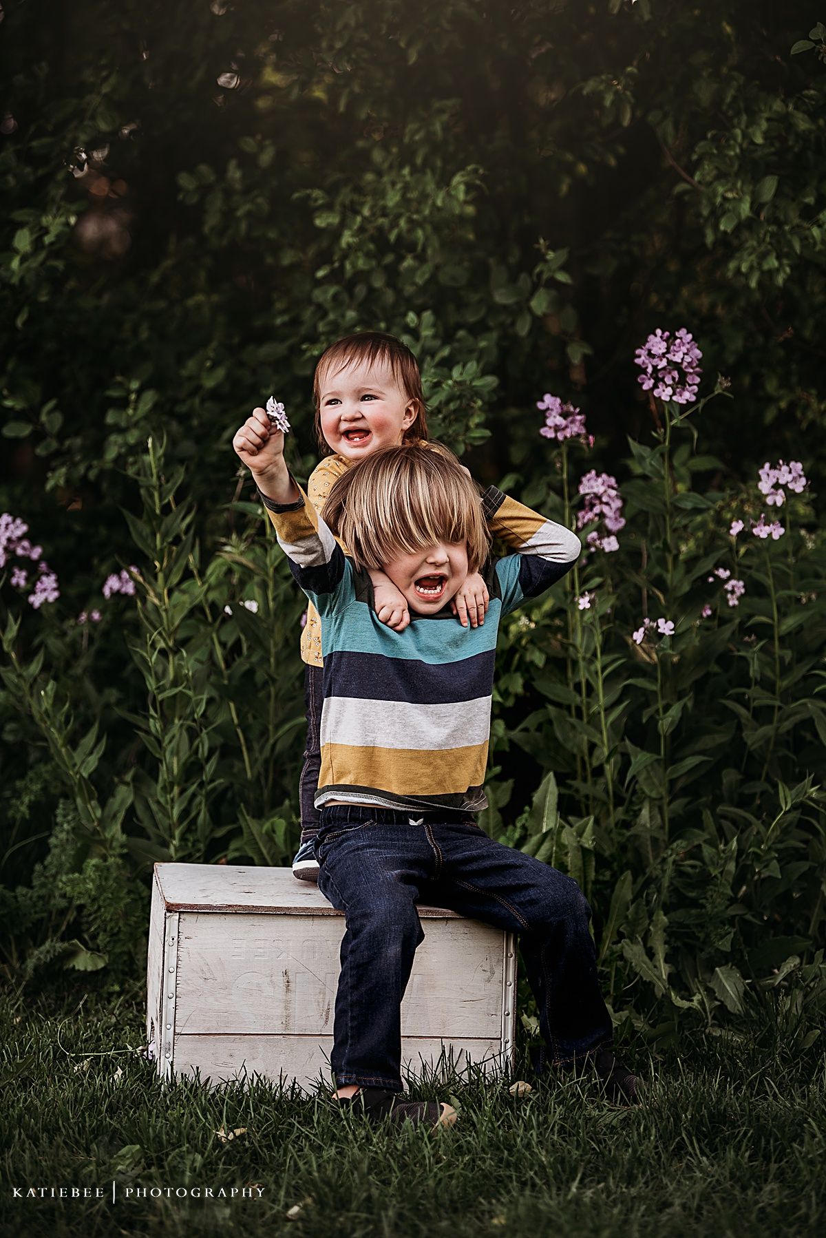 Joyful moment as two children play and laugh together on a white box near blooming purple flowers.