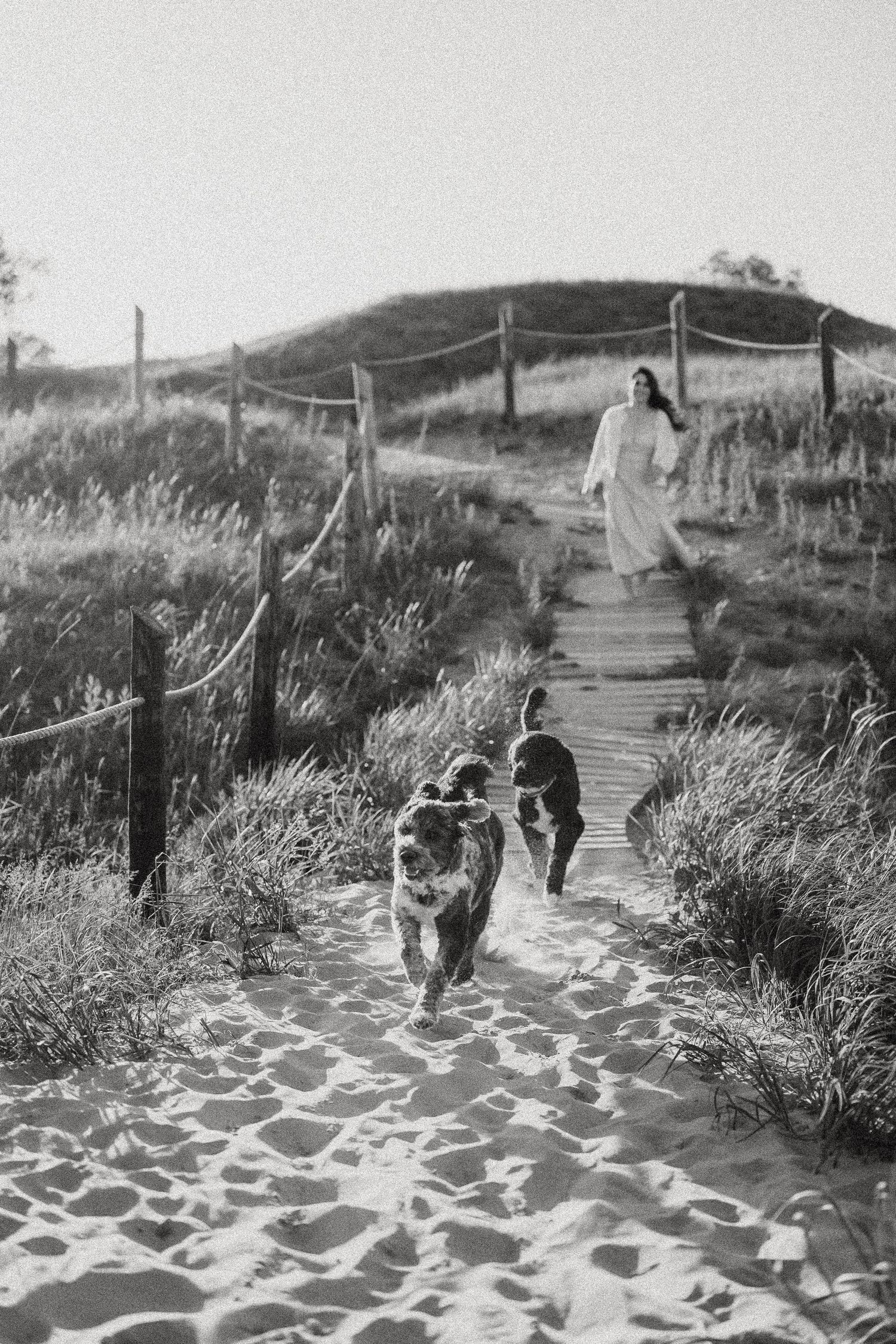 Black and white photo of woman in white dress walking dogs down sandy beach path bordered by rope fencing.