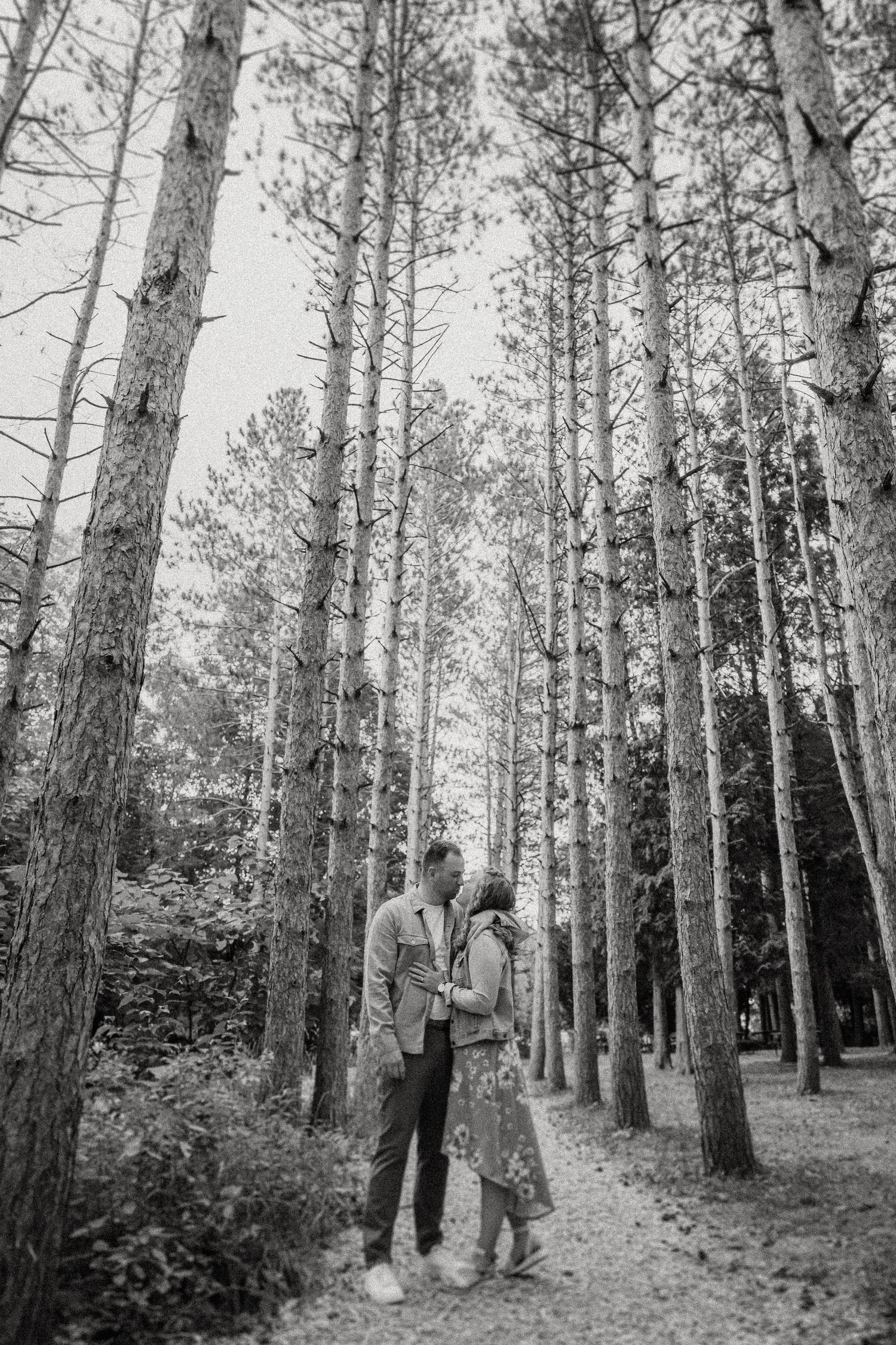 Black and white portrait of couple standing among tall pine trees on forest path.