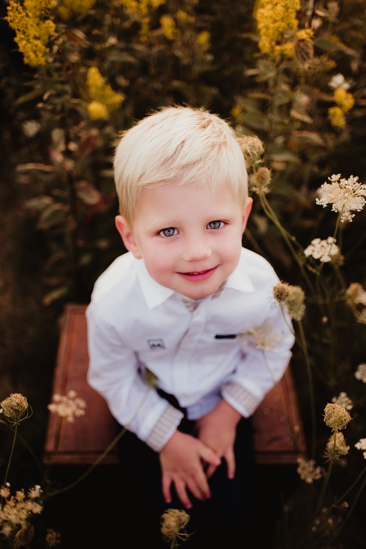 Child in white button-down shirt sitting among yellow wildflowers at sunset.