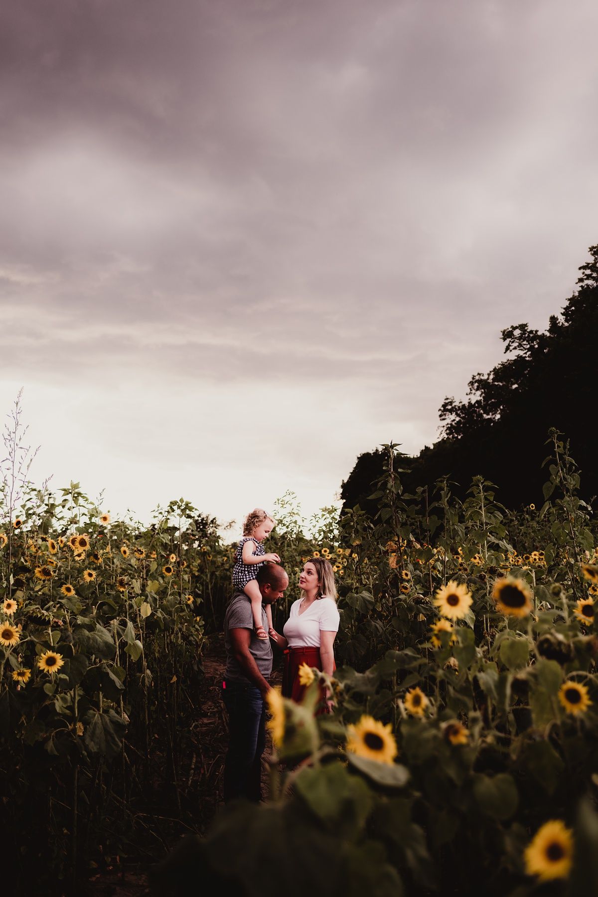 Dramatic overcast sky frames a tender moment among tall sunflowers.