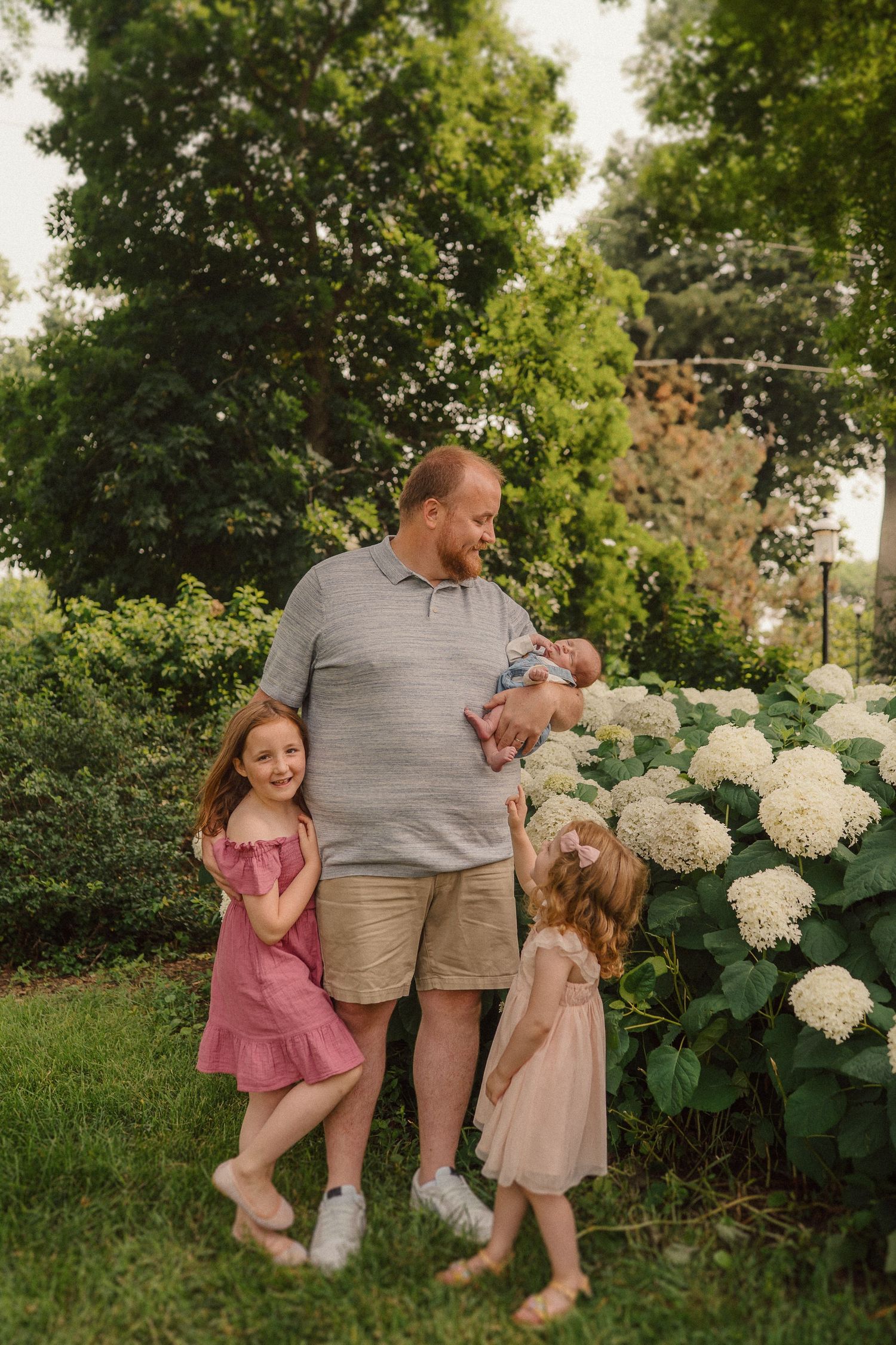 A touching outdoor family moment near blooming white hydrangea bushes in a lush garden setting.