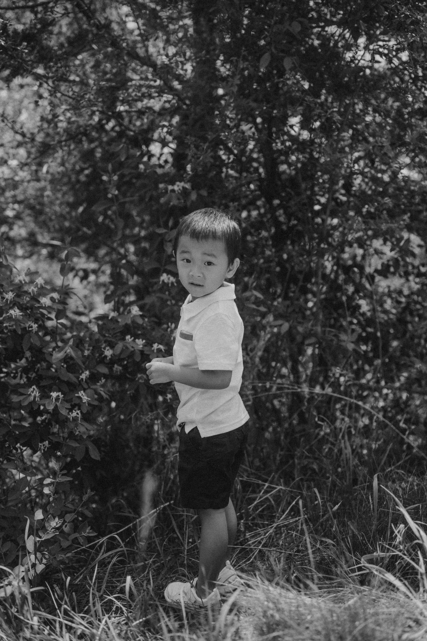 A black and white portrait of a child standing among wild grasses and trees.