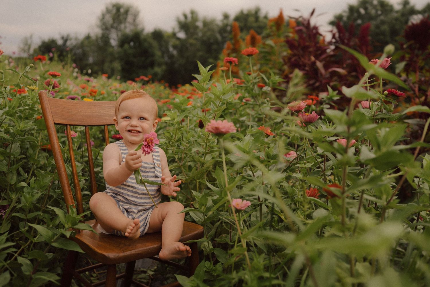 A baby sitting in a wooden chair among blooming orange flowers and lush greenery in a garden setting.