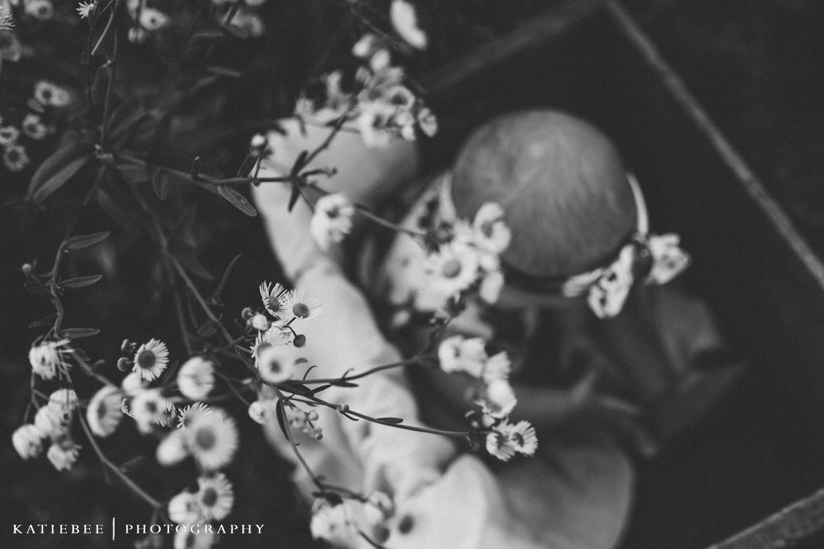 Artistic black and white photo of delicate white flowers in bloom.