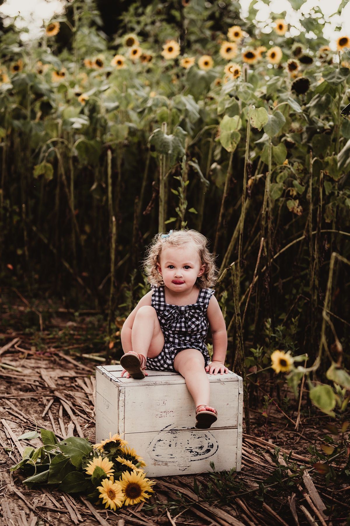Child sits on rustic white crate surrounded by tall sunflowers in garden setting.
