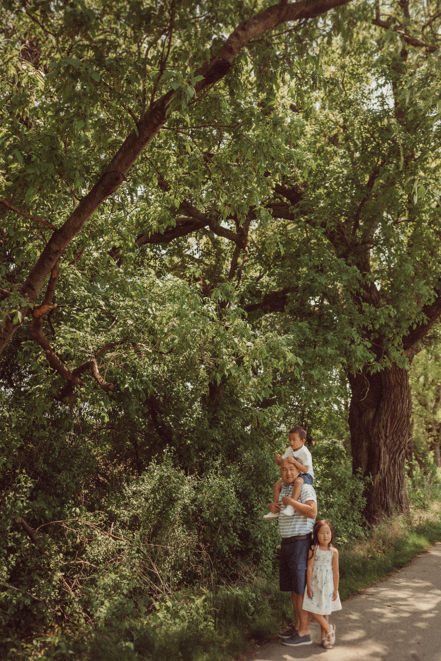 A peaceful scene of people standing beneath a grand old tree on a walking path.