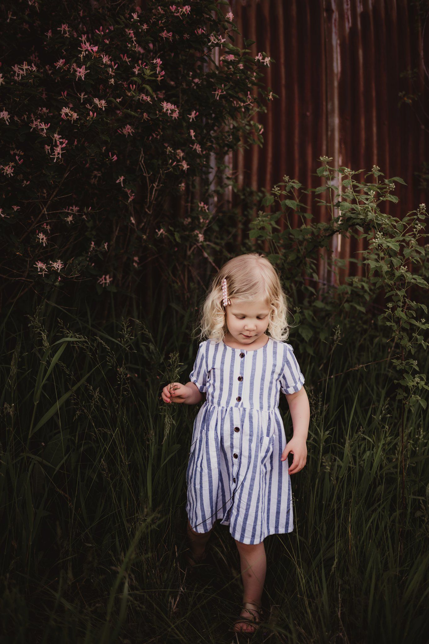 A small child walks through tall grass wearing a blue striped dress near a rustic barn wall.