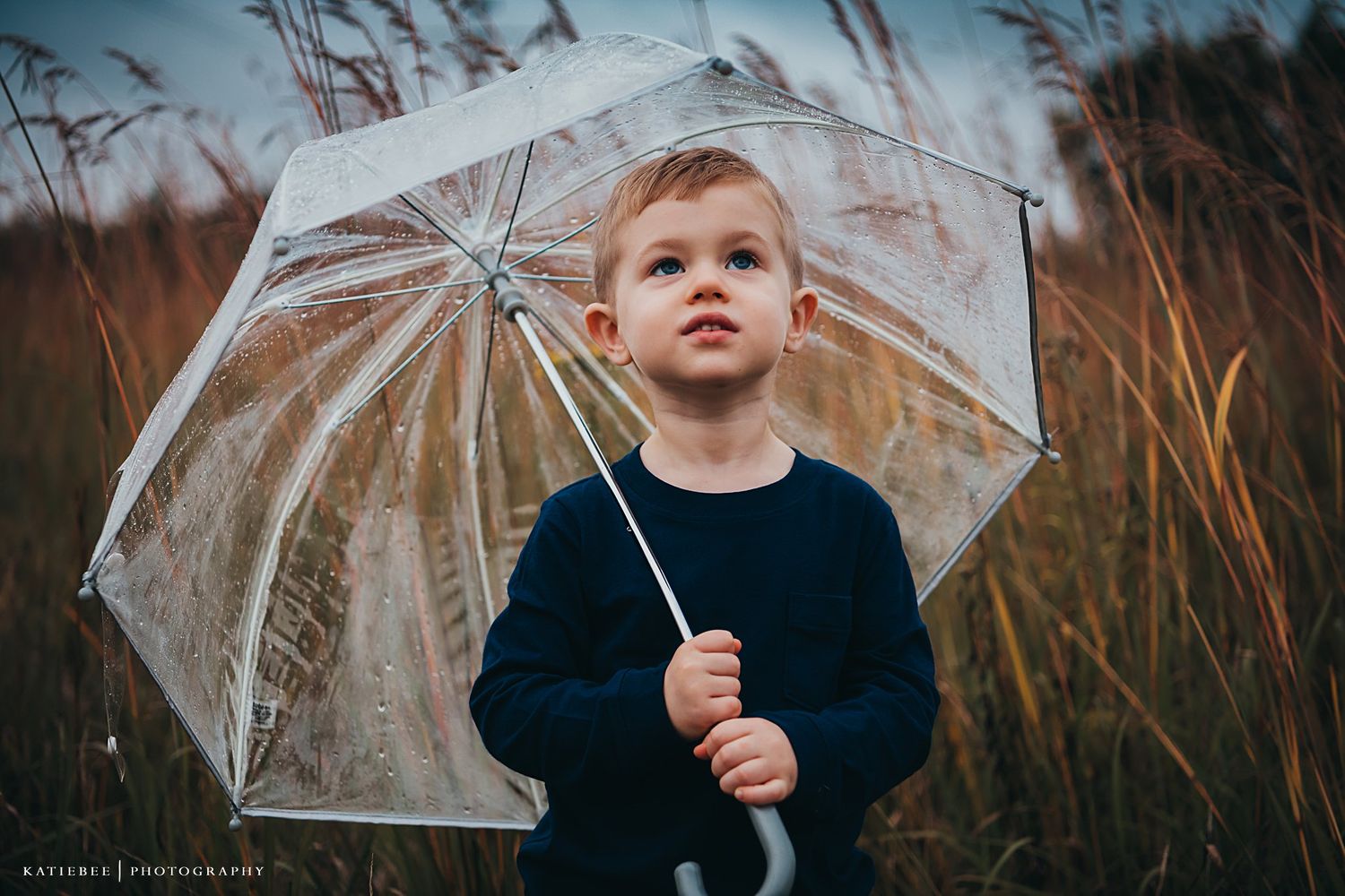 Child holding clear umbrella stands in tall grass field with cloudy sky.