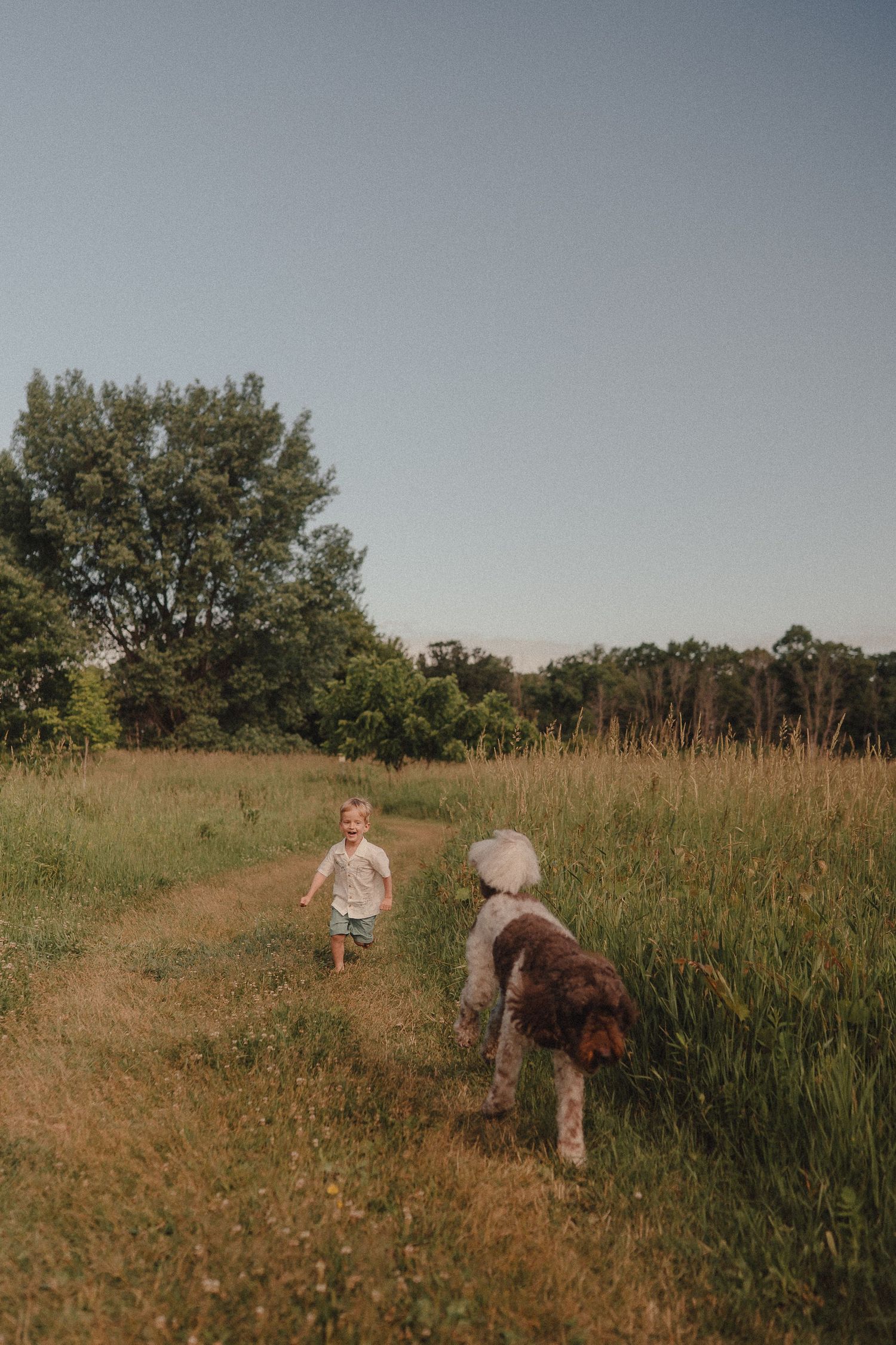 A toddler runs along a grassy field path with a brown and white dog during golden hour.