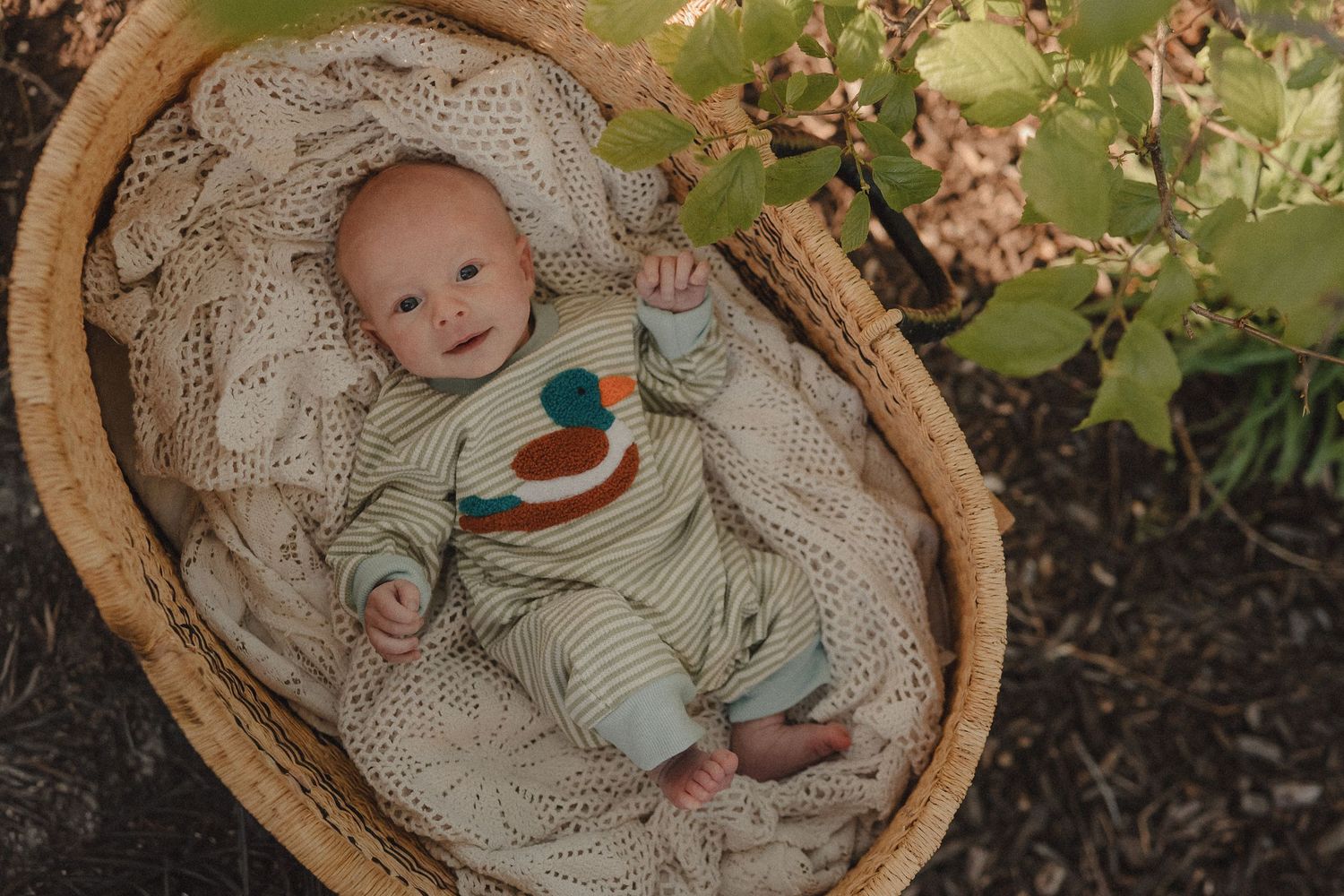 A newborn baby in a striped outfit rests peacefully in a wicker basket outdoors near green foliage.