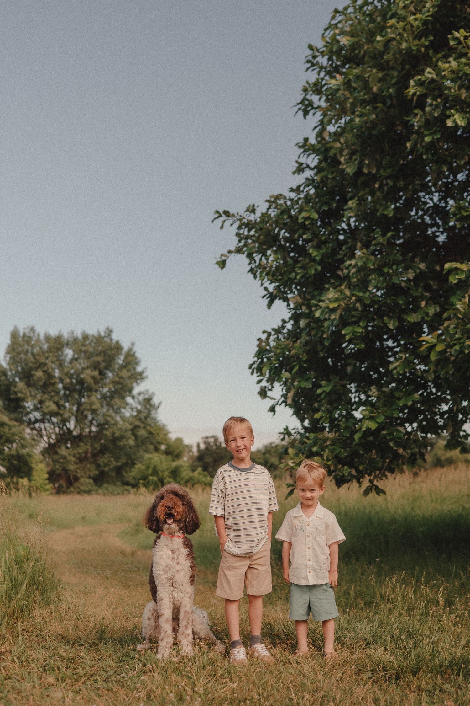 Two young boys smile outdoors with their brown and white spaniel dog near a large green tree on a sunny day.