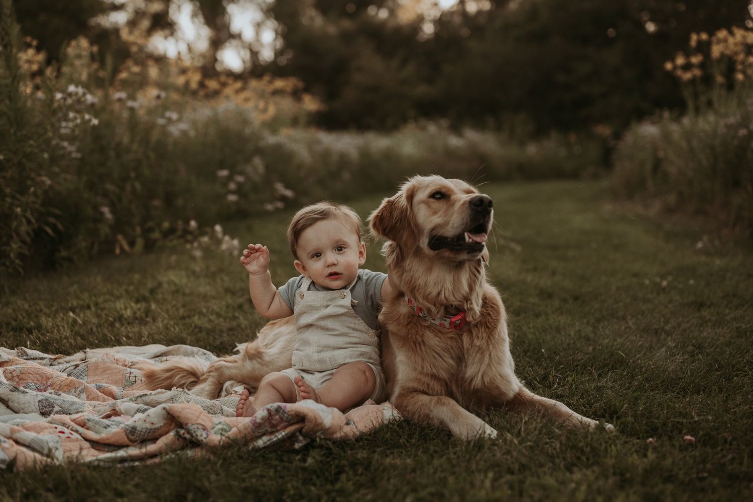 Sweet moment between golden retriever and baby sitting together on blanket outdoors.