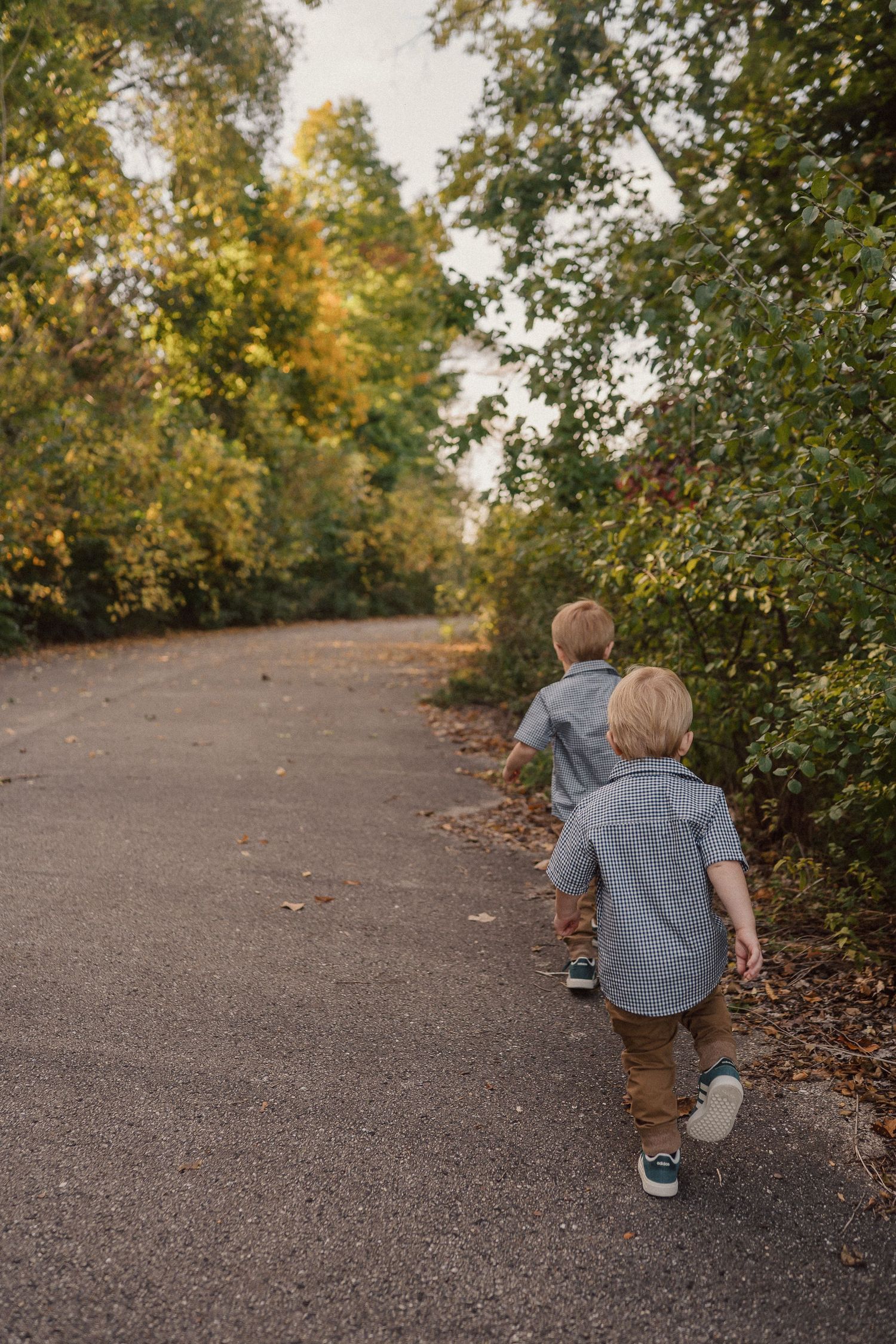 Two children in matching gray shirts walk along a winding autumn path surrounded by golden trees.