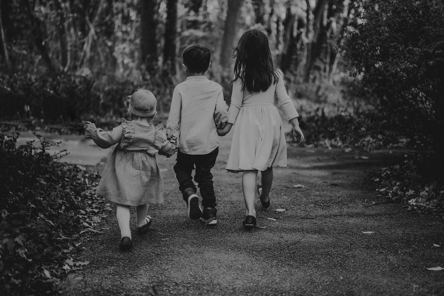 Family strolls together on wooded path during golden hour with rustic red fence.