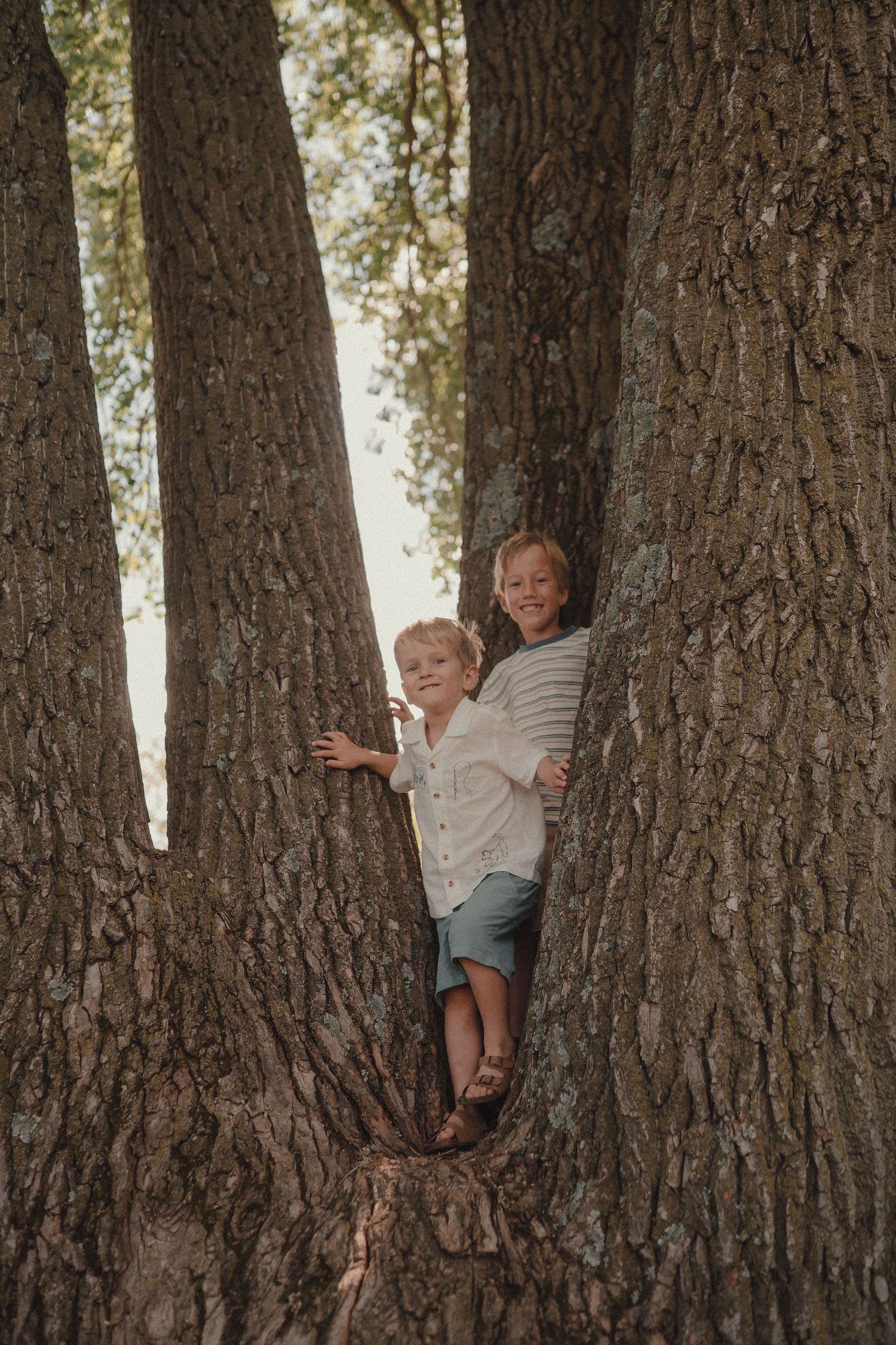 Two young boys smiling and posing between large tree trunks in a forest setting.