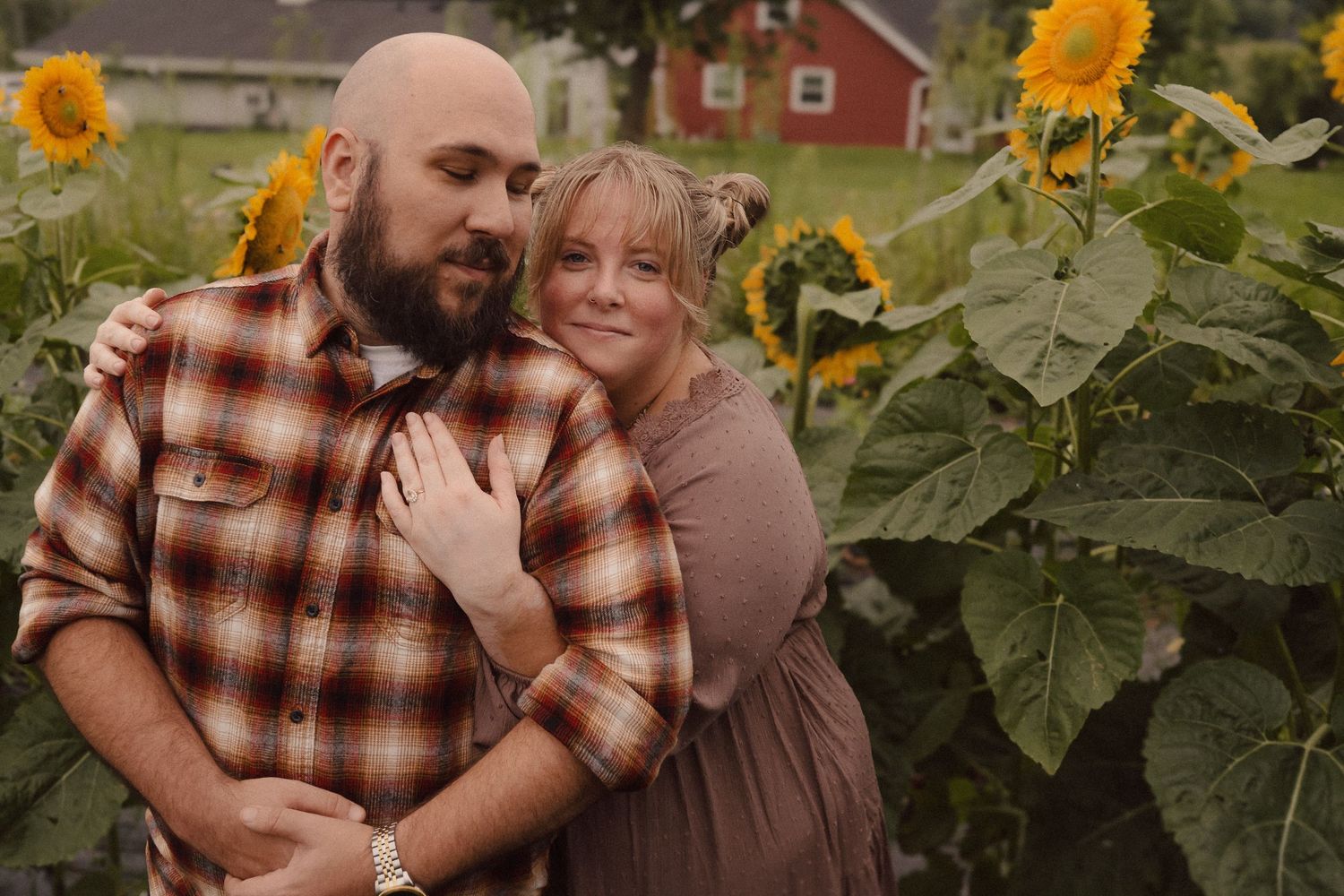 A couple stands together among tall sunflowers near a red barn on a sunny autumn day.