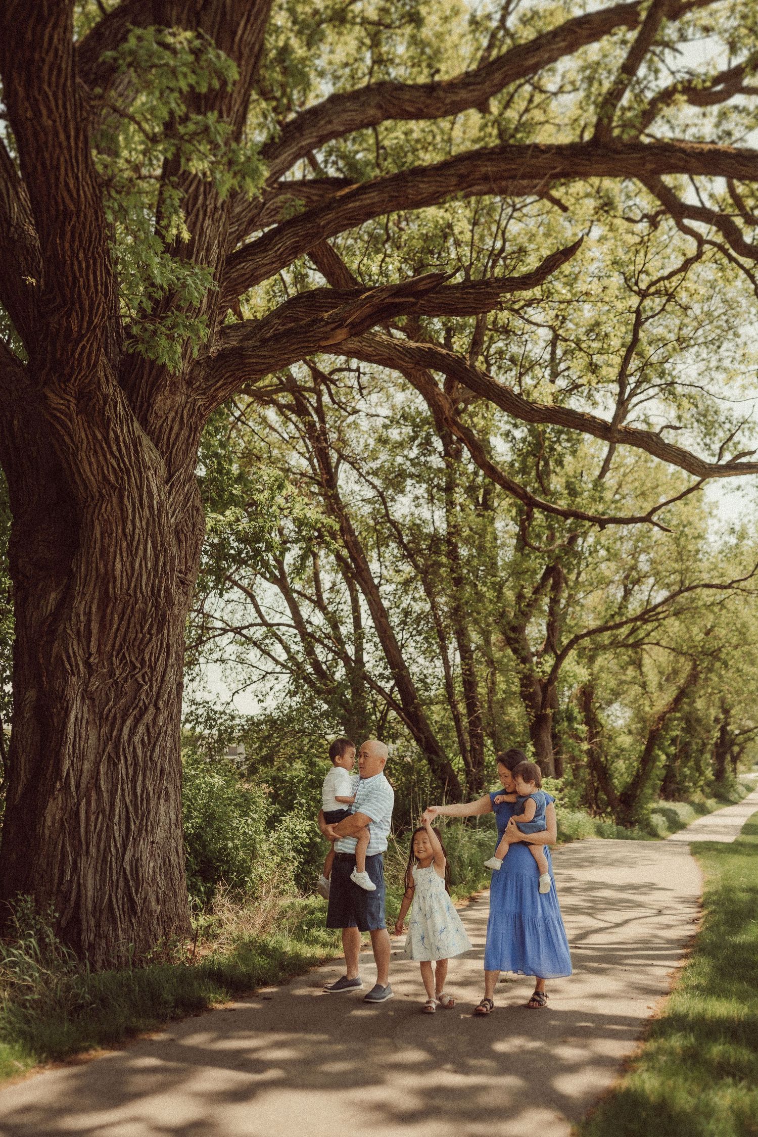 Family enjoying a walk together under sprawling tree branches on a nature trail.