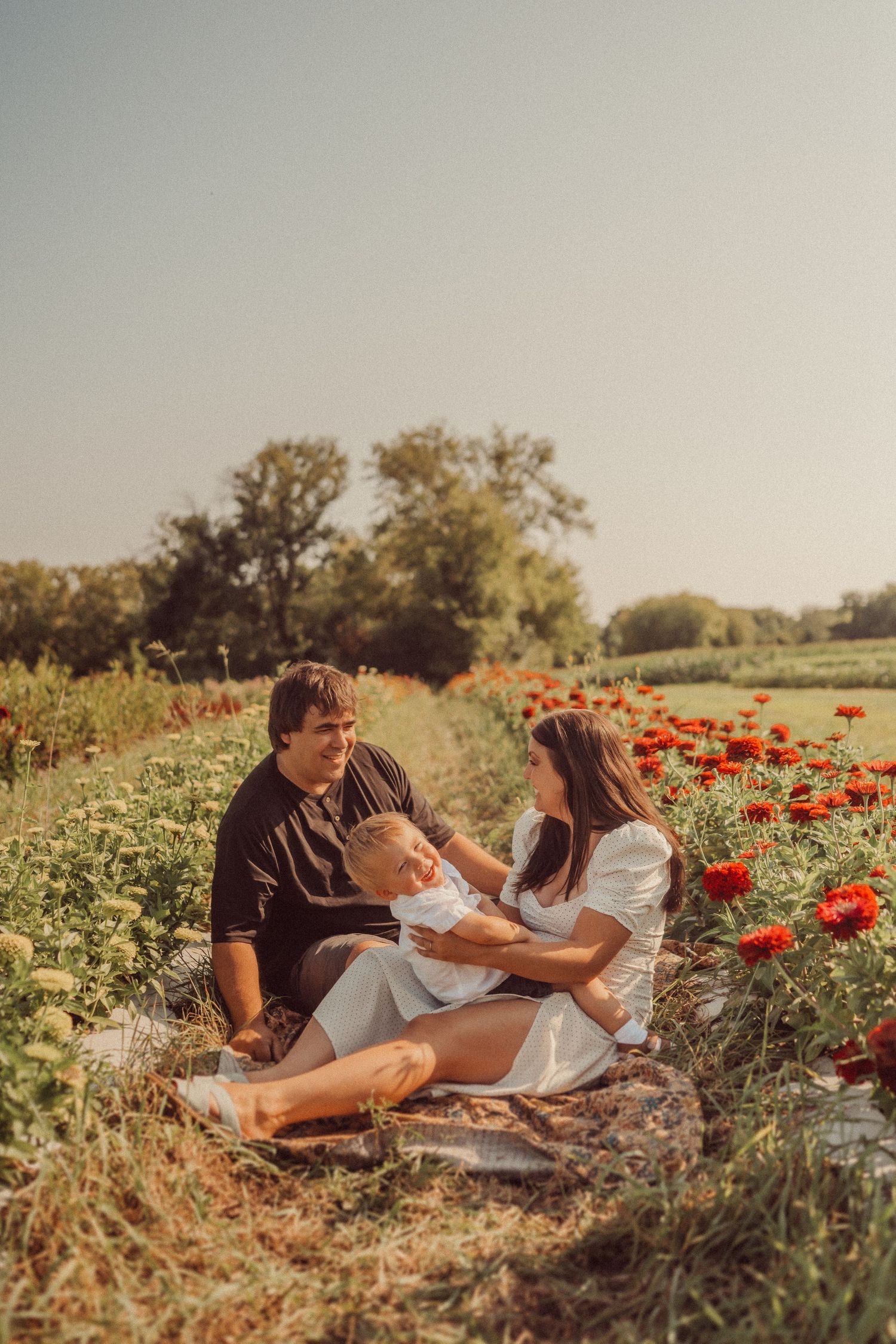 A family sits on a blanket among blooming red poppies during a warm summer evening.