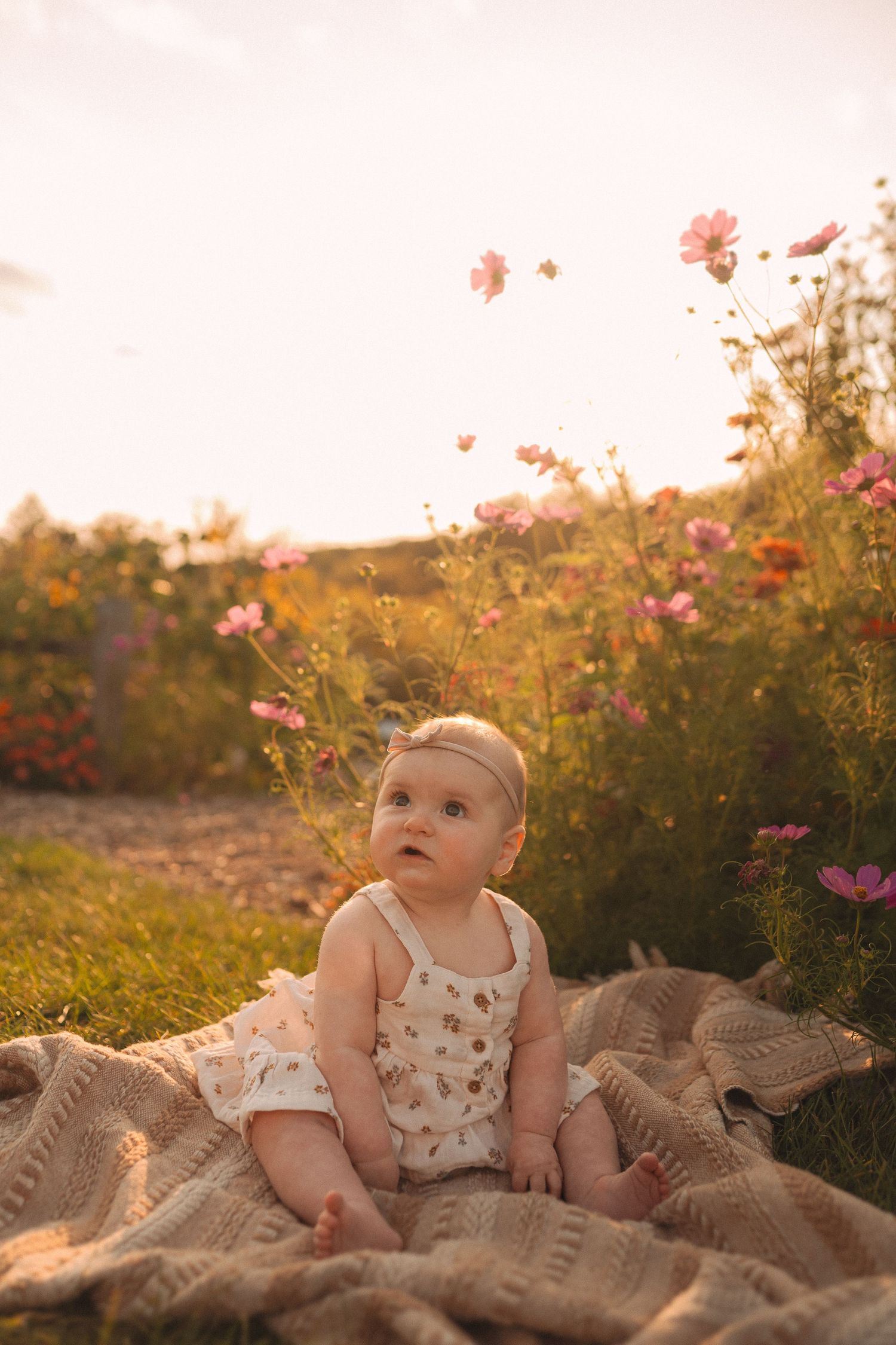 Baby in white outfit gazes upward while sitting on blanket among pink cosmos flowers.