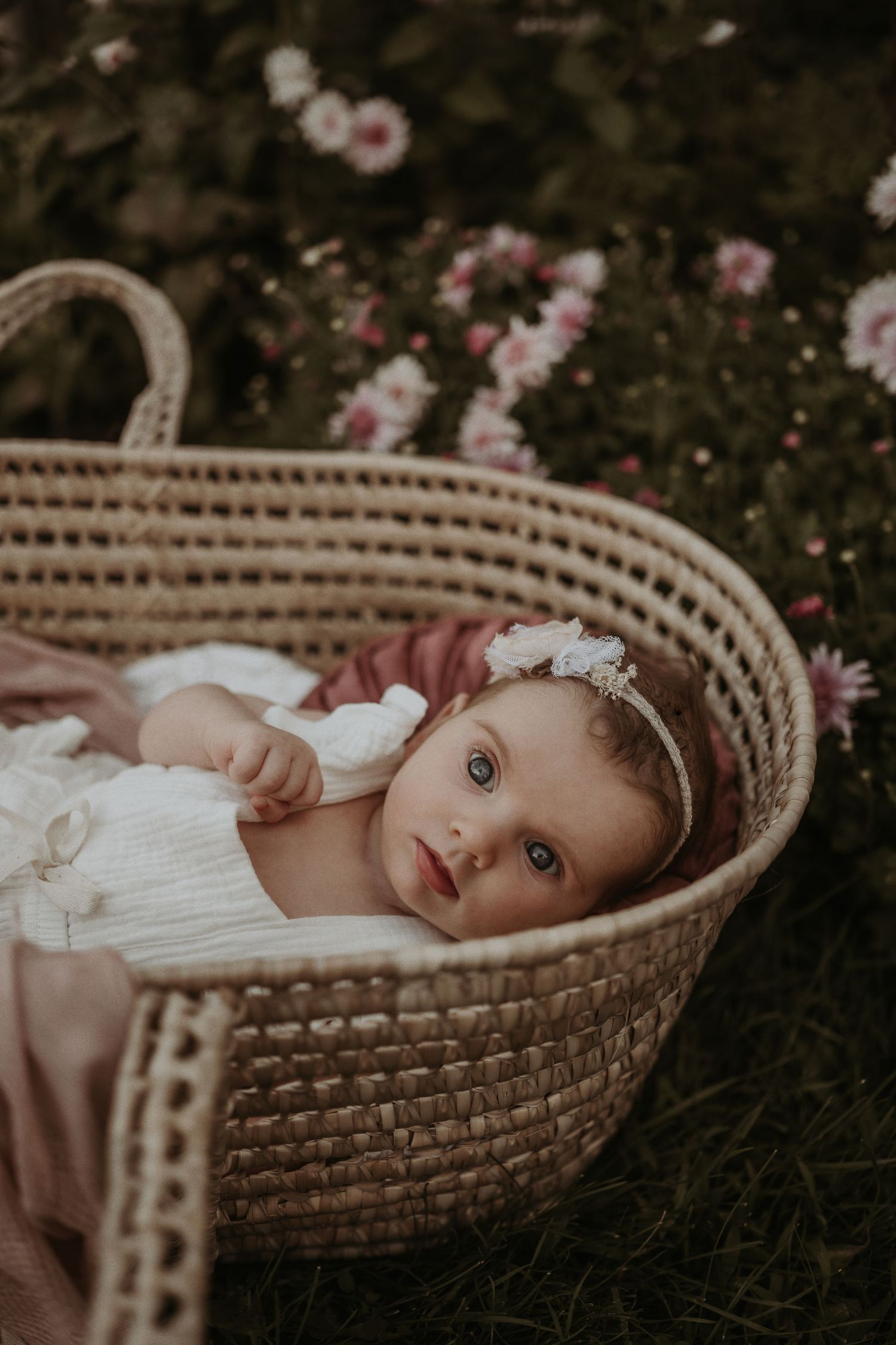 Baby in white dress rests in cozy Moses basket with pink floral backdrop.