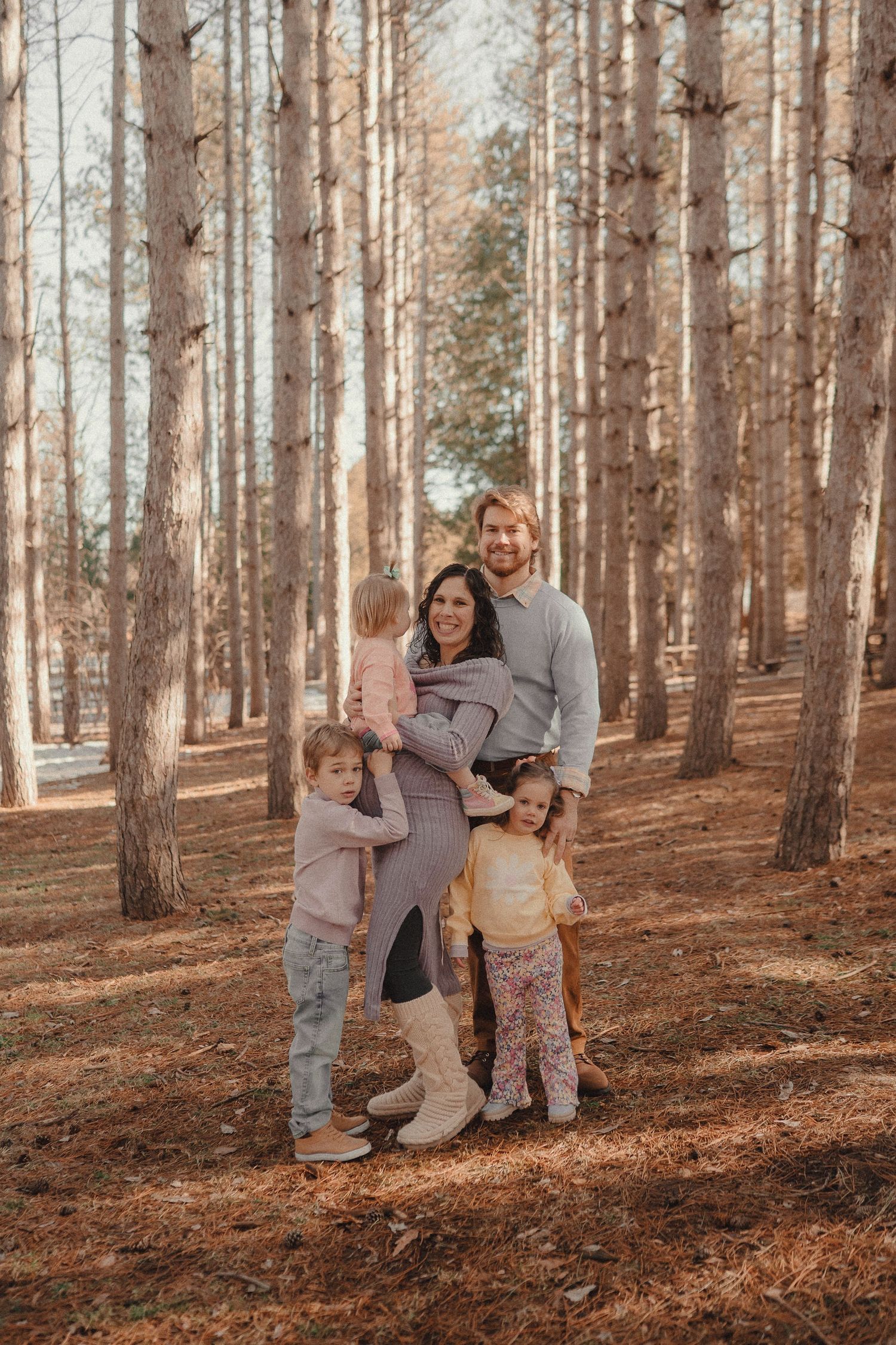 A family of four poses together in a pine forest with warm autumn lighting and fallen pine needles on the ground.